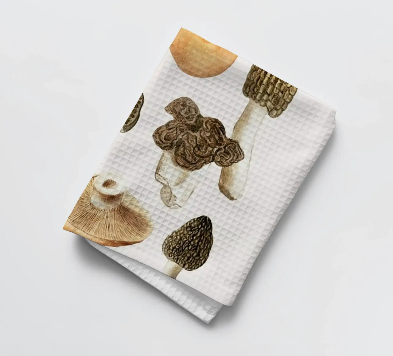 Anselmus Boëtius de Boodt - Morels canovaccio da cucina da Vintage by JUNIQE