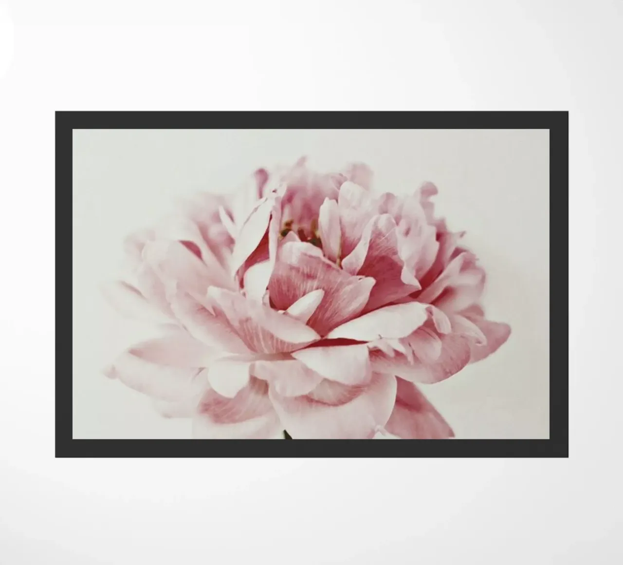 Daylight Peony zerbino da Studio One