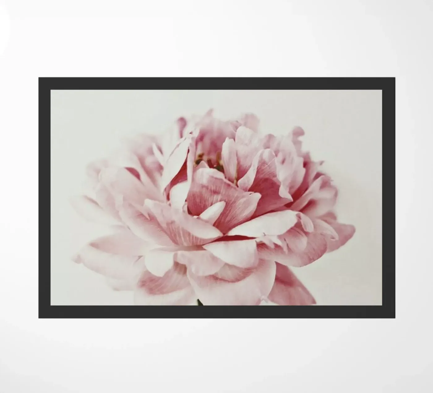 Daylight Peony zerbino da Studio One