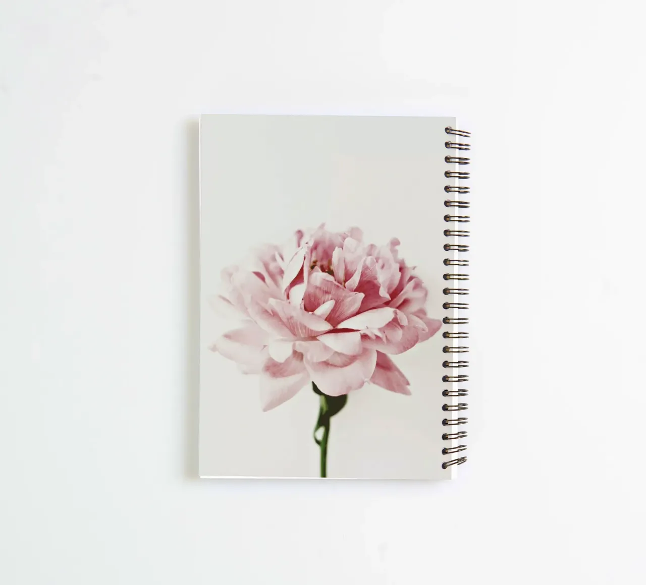 Daylight Peony spiral notebook by Studio One