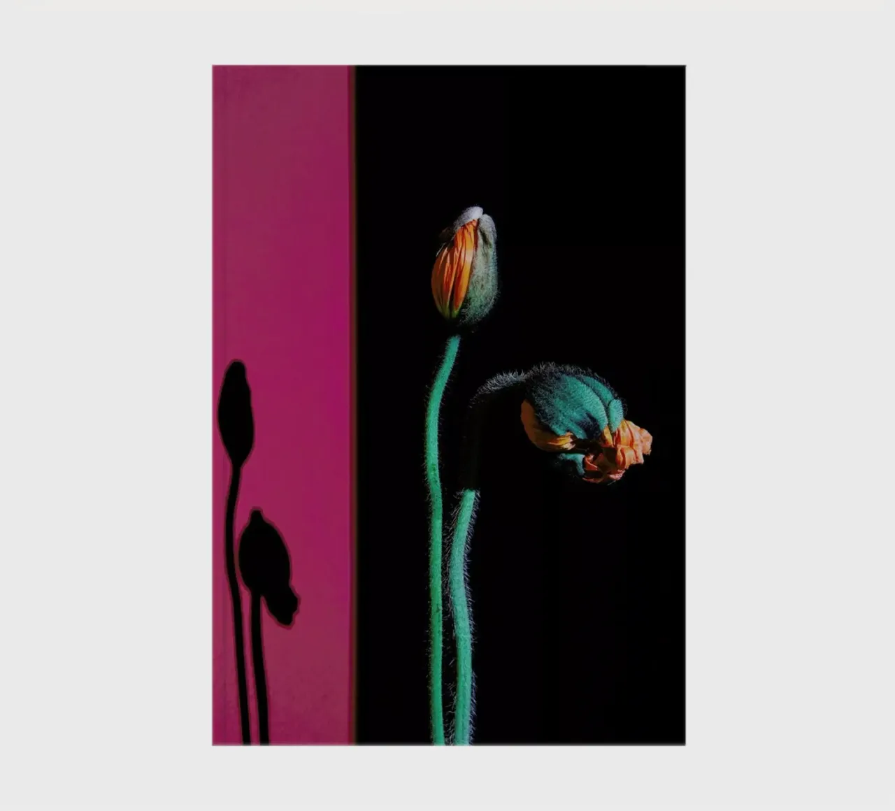 Nordic Flowers in Bloom notebook by EyeEm Mobile GmbH