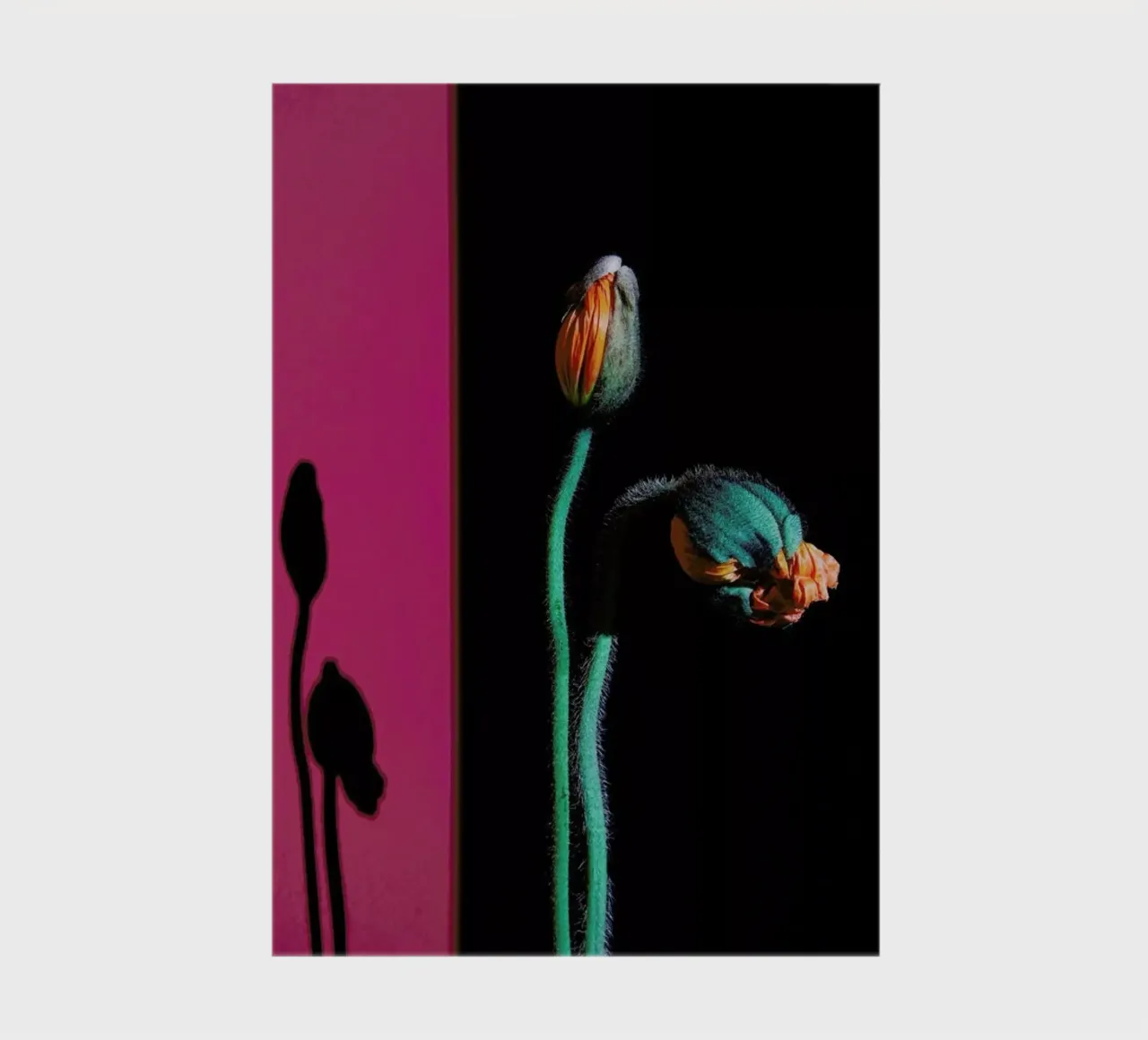 Nordic Flowers in Bloom notebook by EyeEm Mobile GmbH