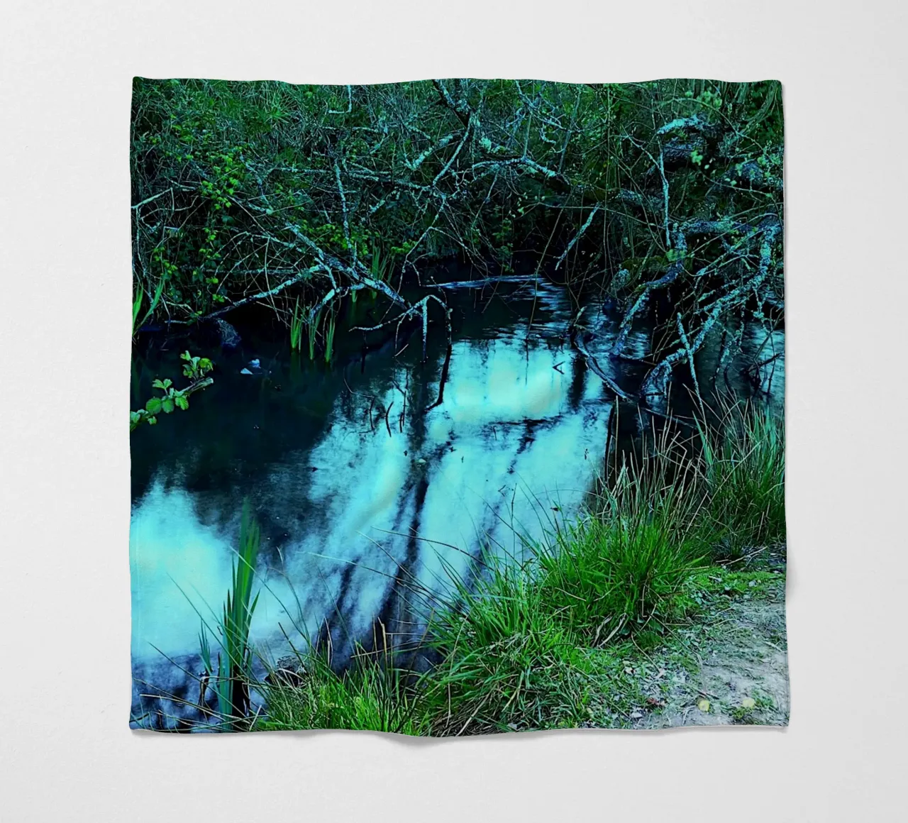 FAA324 piccolo stagno. coperta in pile da Thierry vobmann photography