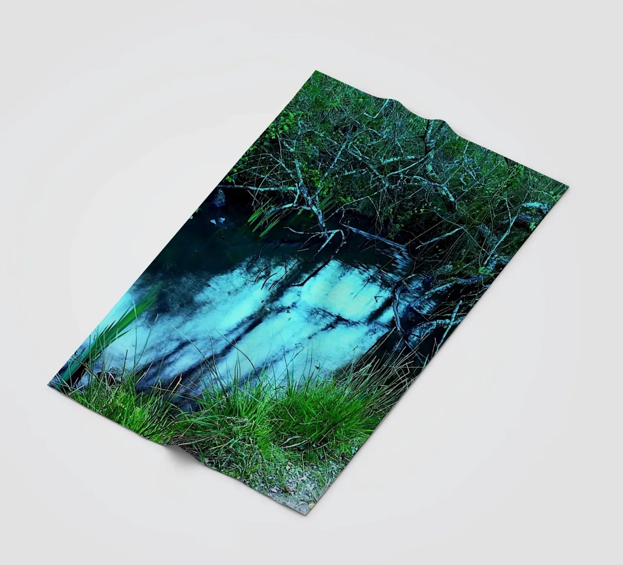FAA324 piccolo stagno. coperta in pile da Thierry vobmann photography