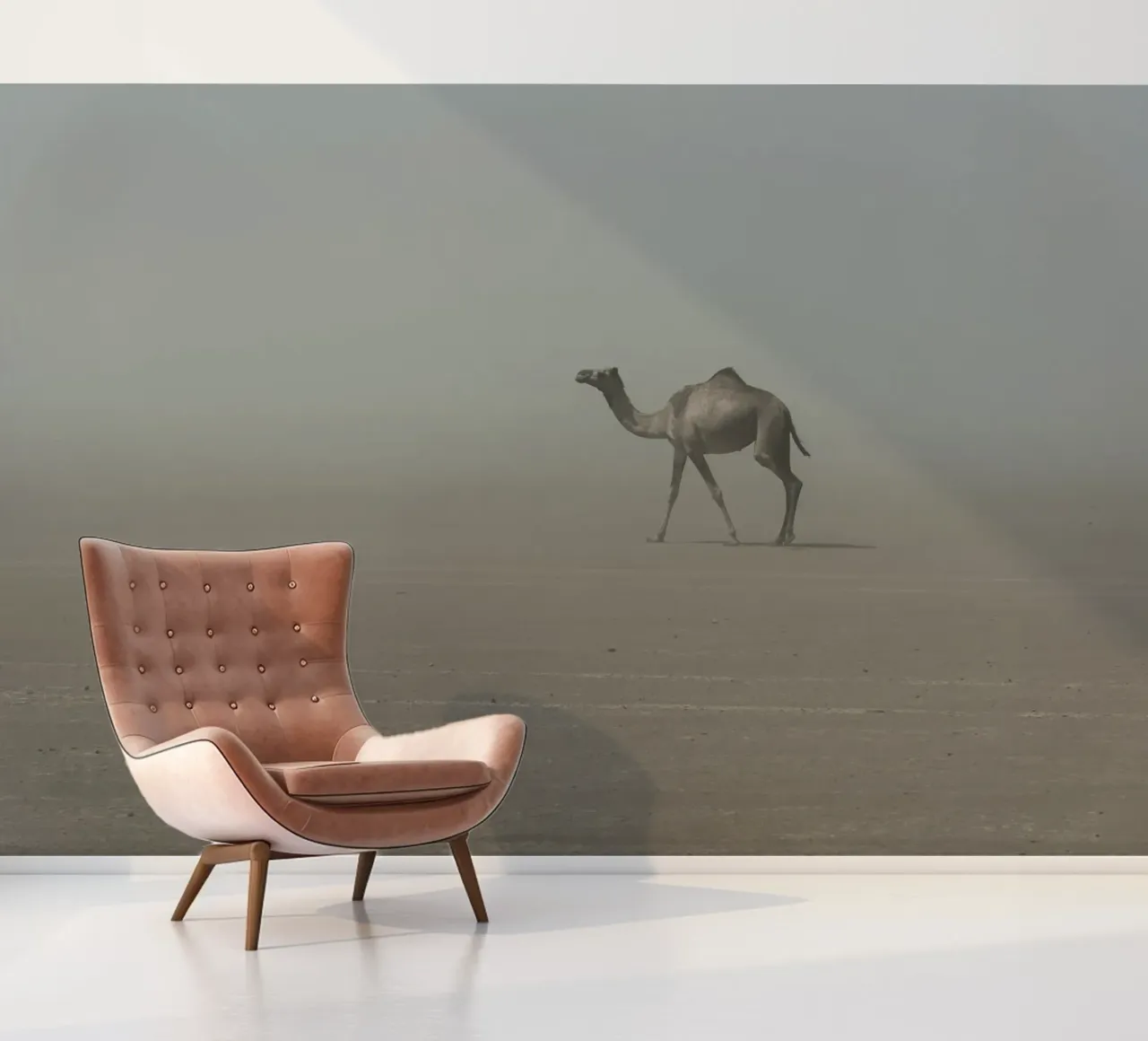 Camel fotobehang van photolovers