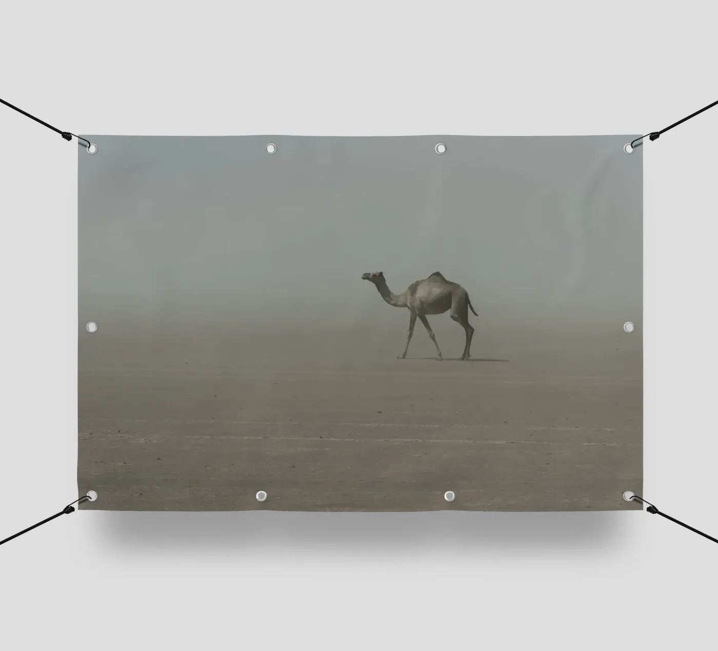 Camel PVC Plane von photolovers