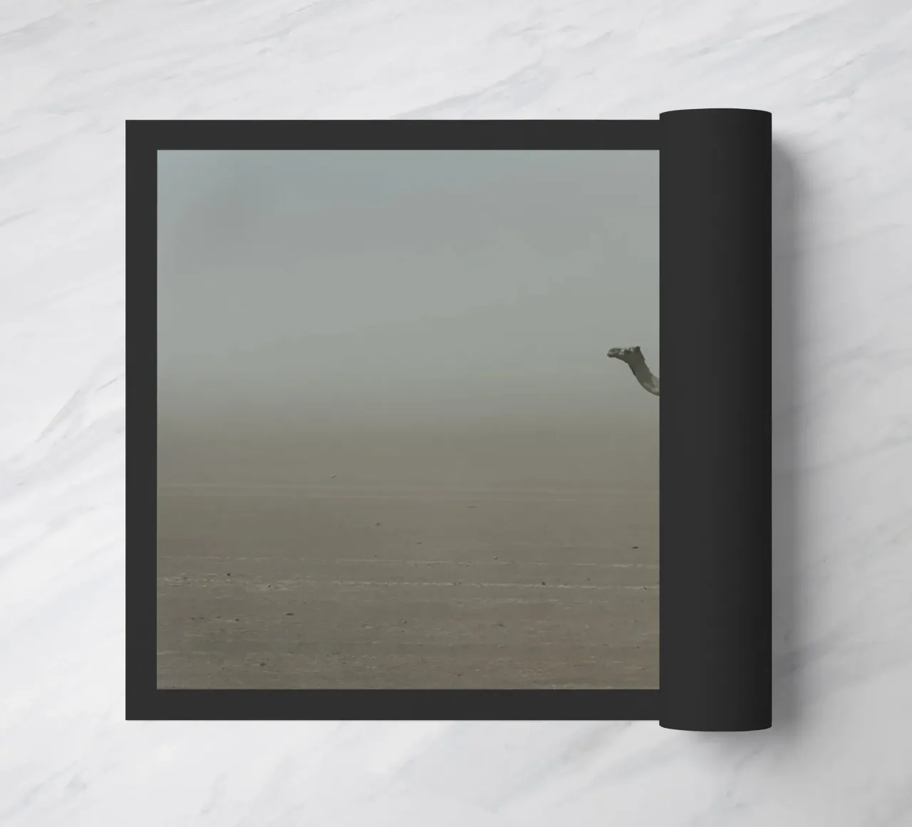 Camel zerbino da photolovers