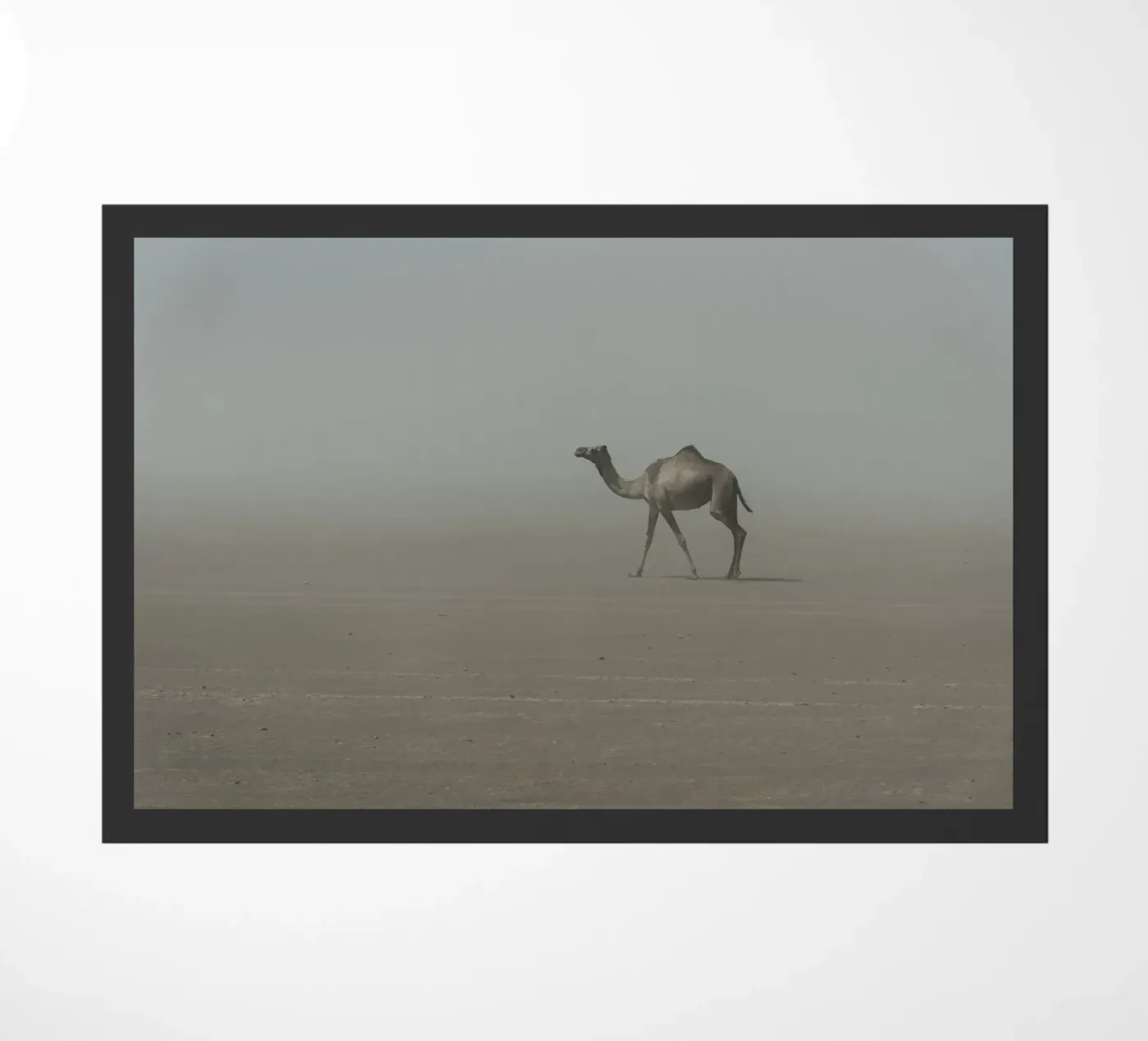 Camel Fußmatte von photolovers