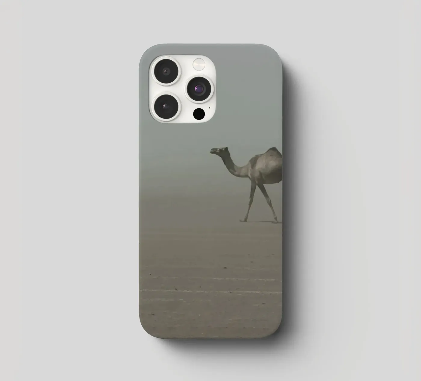 Camel iphone case by photolovers