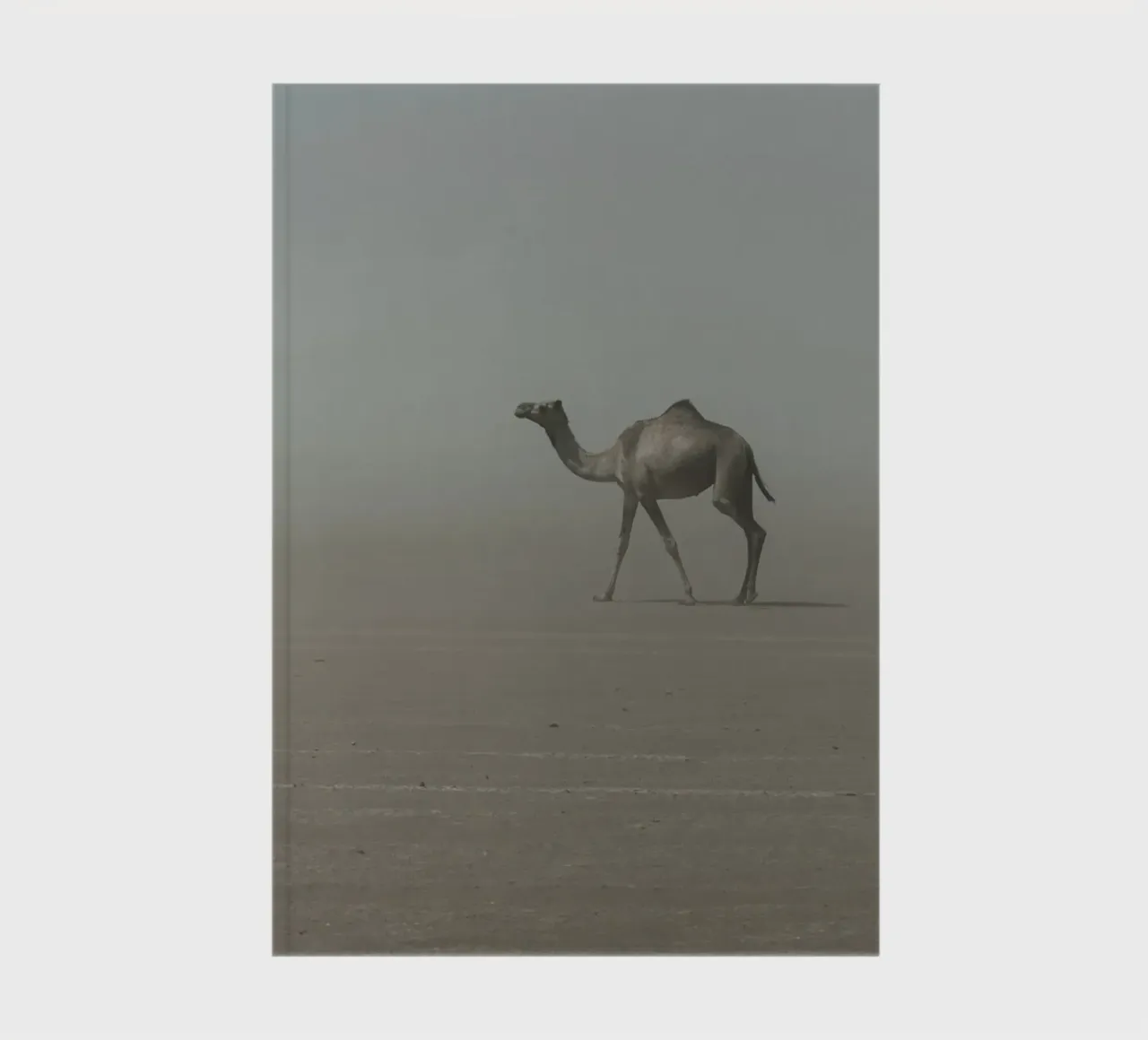 Camel notebook by photolovers