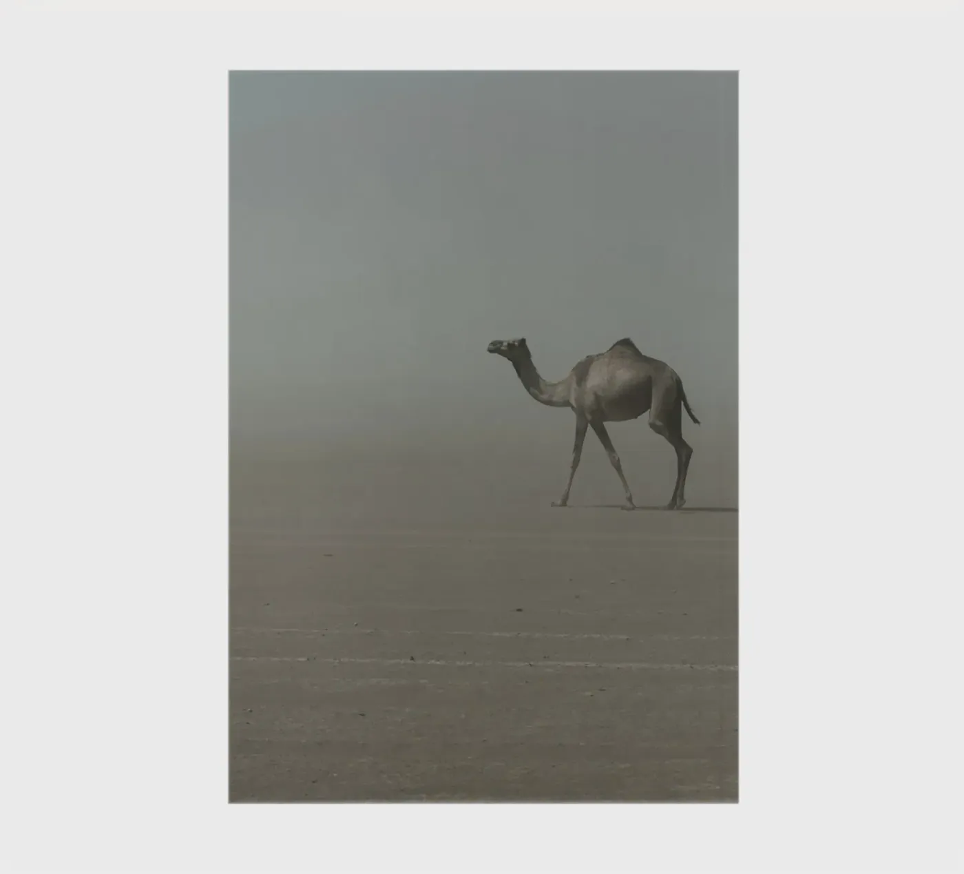 Camel notitieboek van photolovers