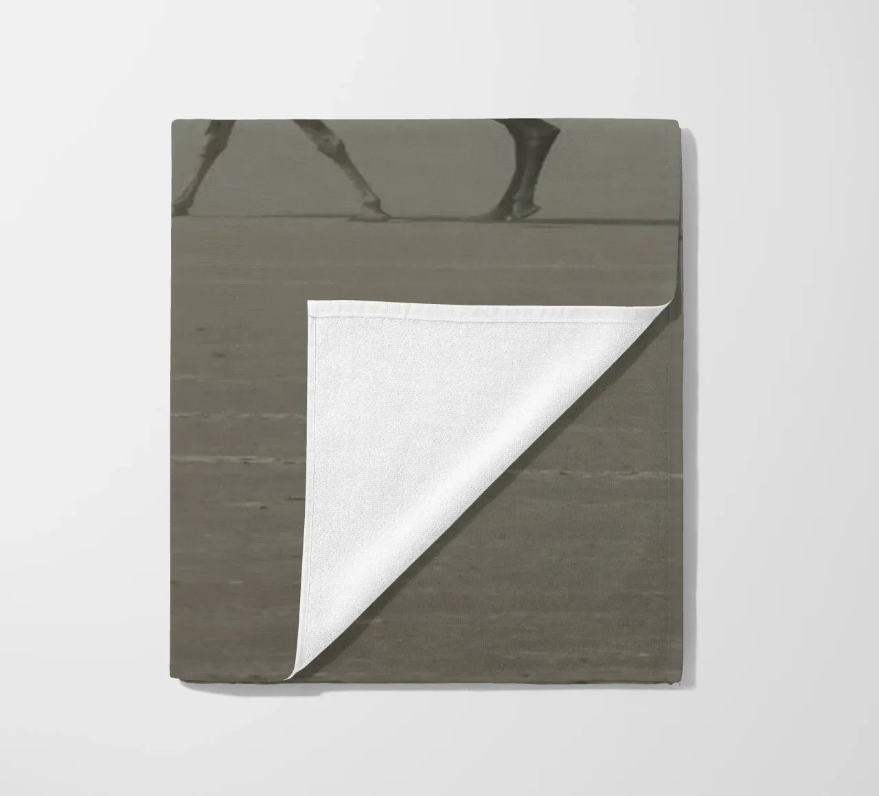 Camel telo mare da photolovers