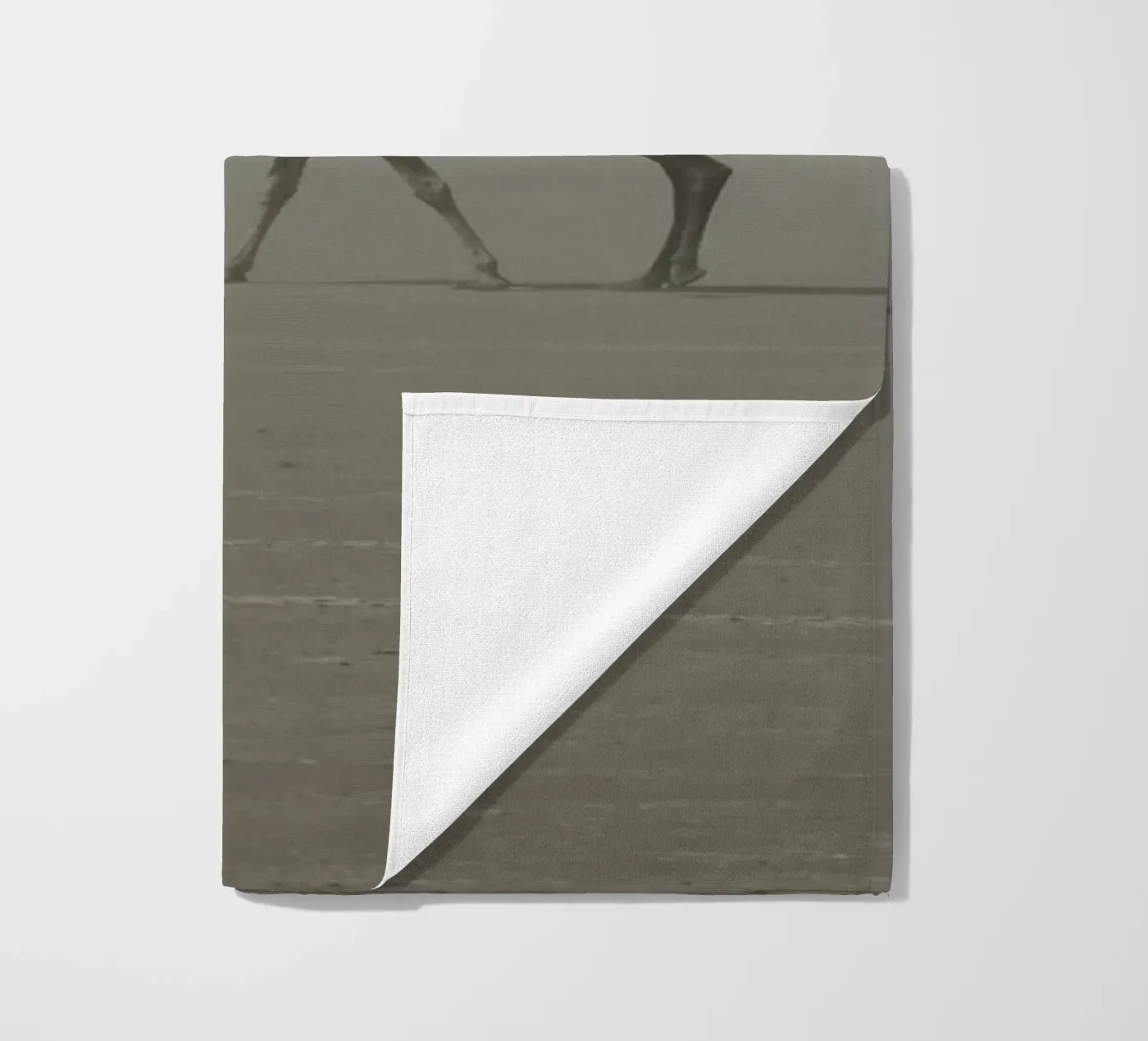 Camel beach towel by photolovers