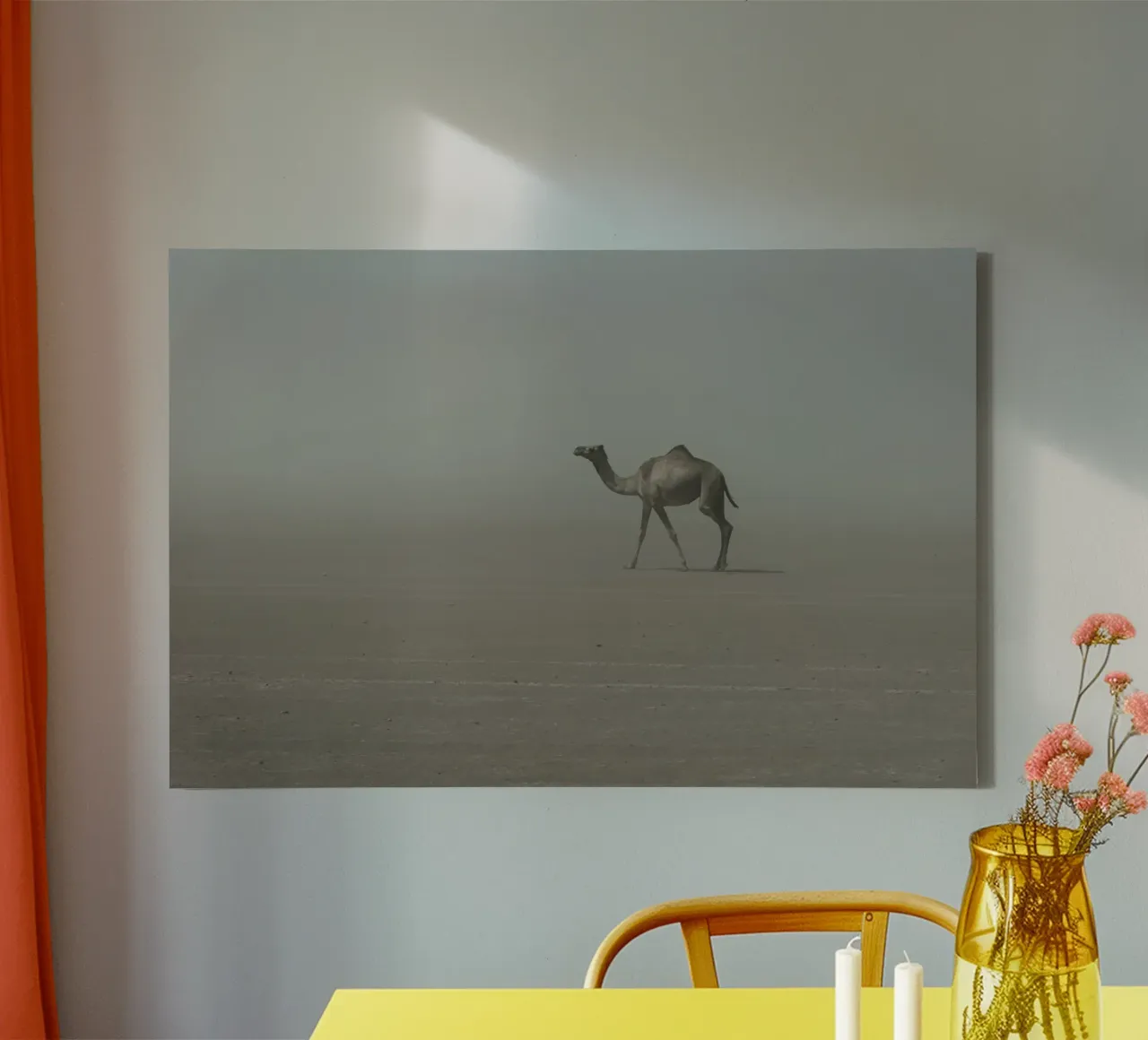 Camel canvas by photolovers