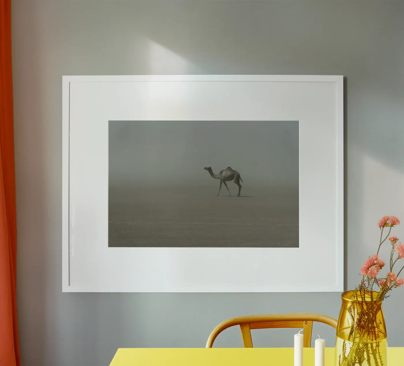 Camel poster by photolovers