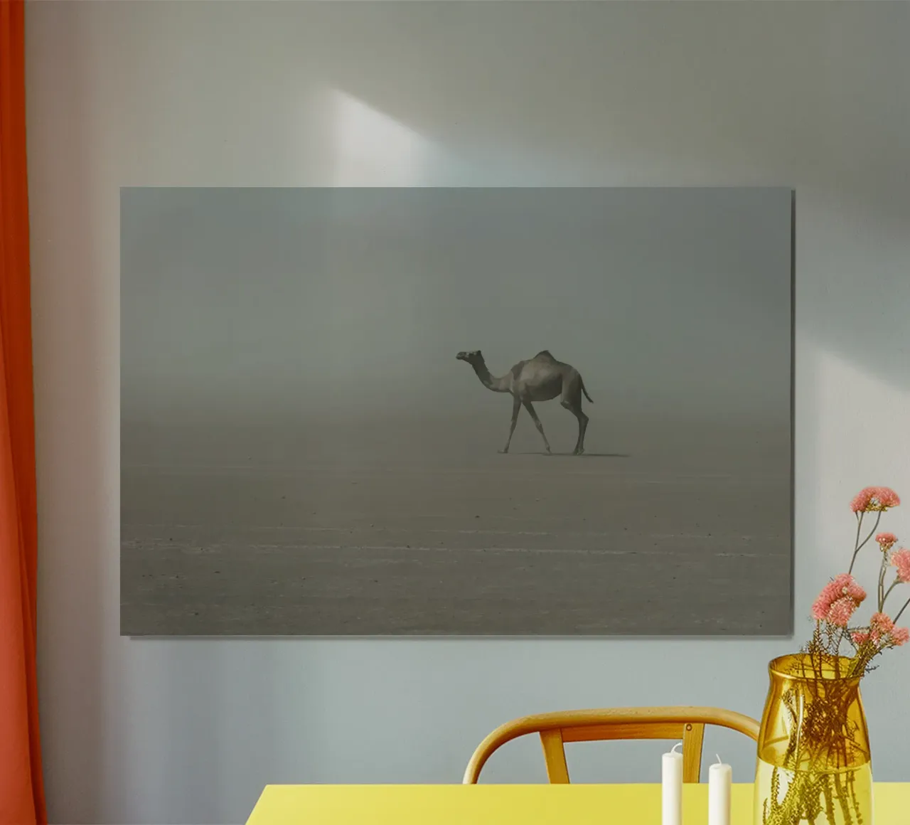 Camel poster da photolovers