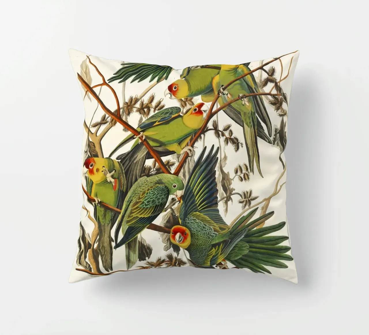 John James Audubon - Pappagallo della Carolina (1827) cuscino da Wirla