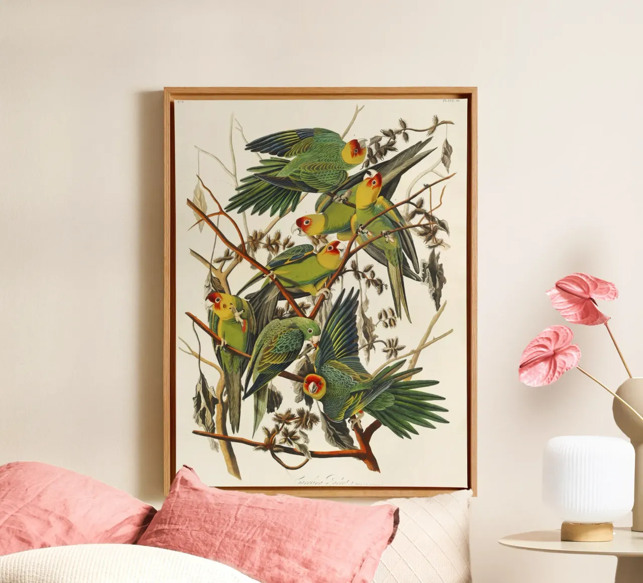 John James Audubon - Carolina Parrot (1827) canvas with Floater frame by Wirla
