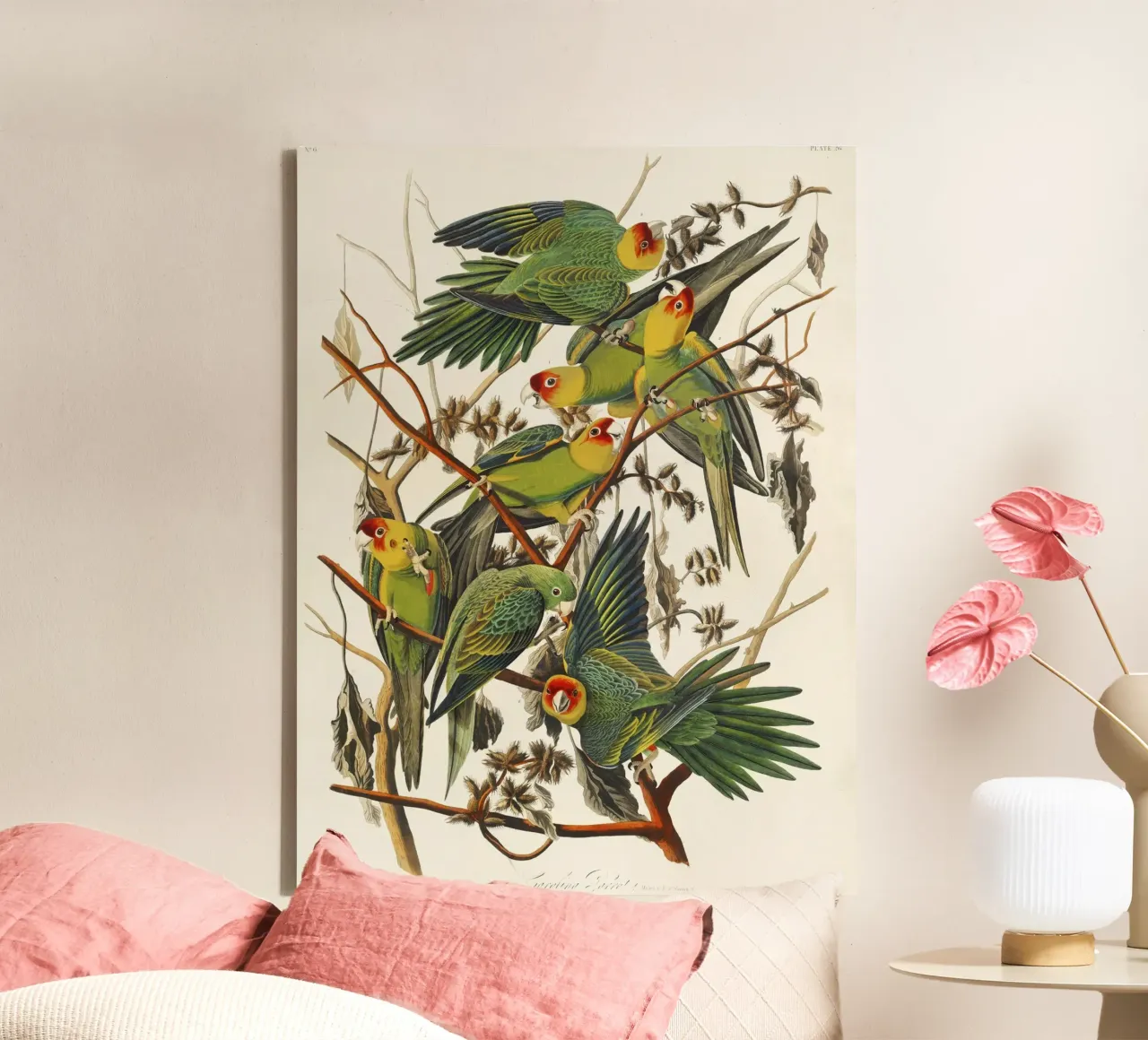 John James Audubon - Carolina Parrot (1827) canvas with Floater frame by Wirla
