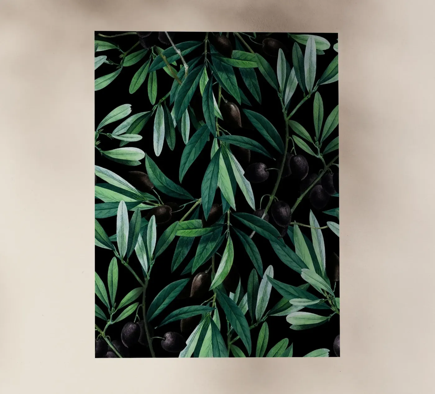 Olive pellicola backlit da burcukorkmazyurek