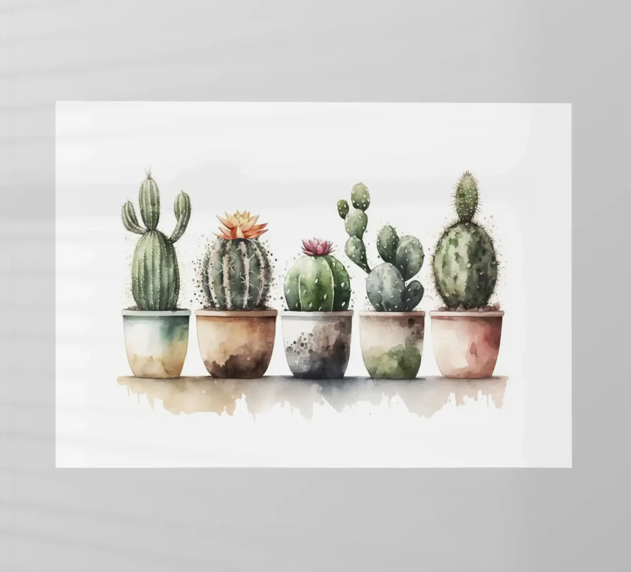 cactus succulenti pellicola backlit da Kevin Walters