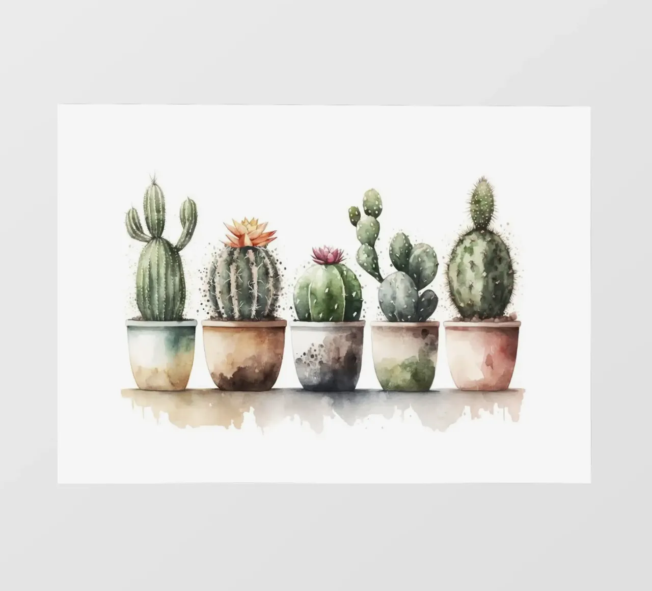 cactus succulenti pellicola backlit da Kevin Walters