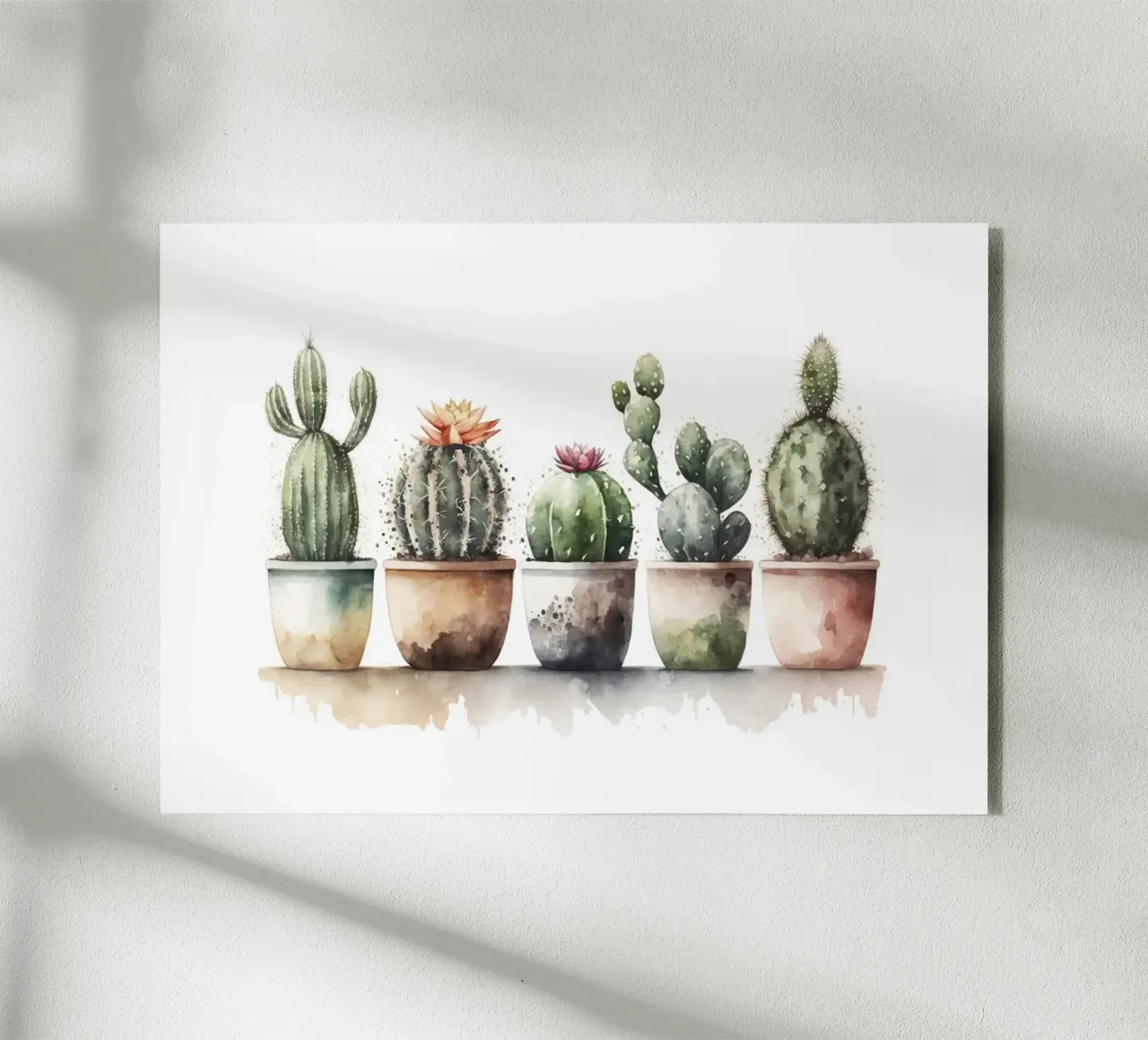 cactus succulenti plexiglass da Kevin Walters