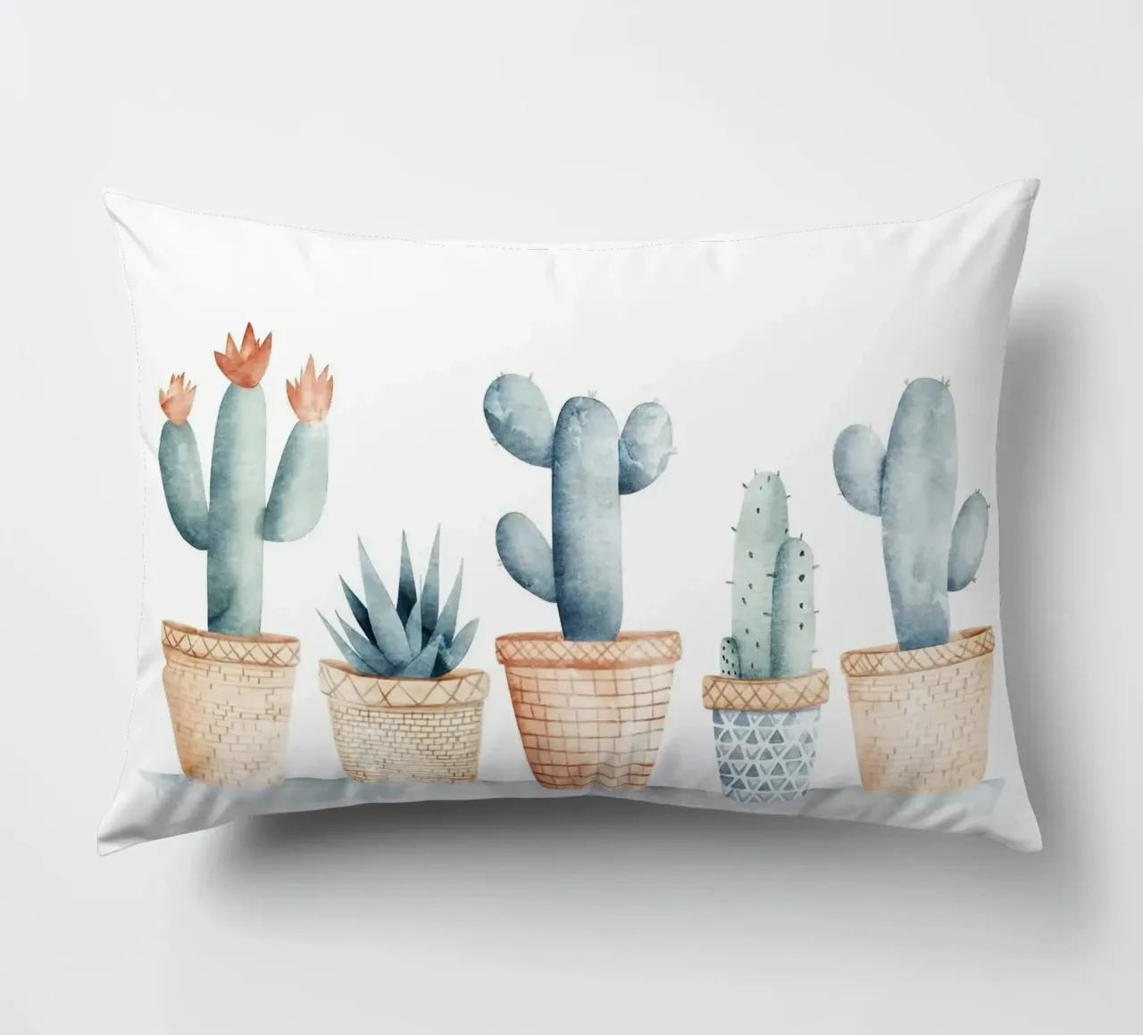 cactus succulento cuscino da Kevin Walters