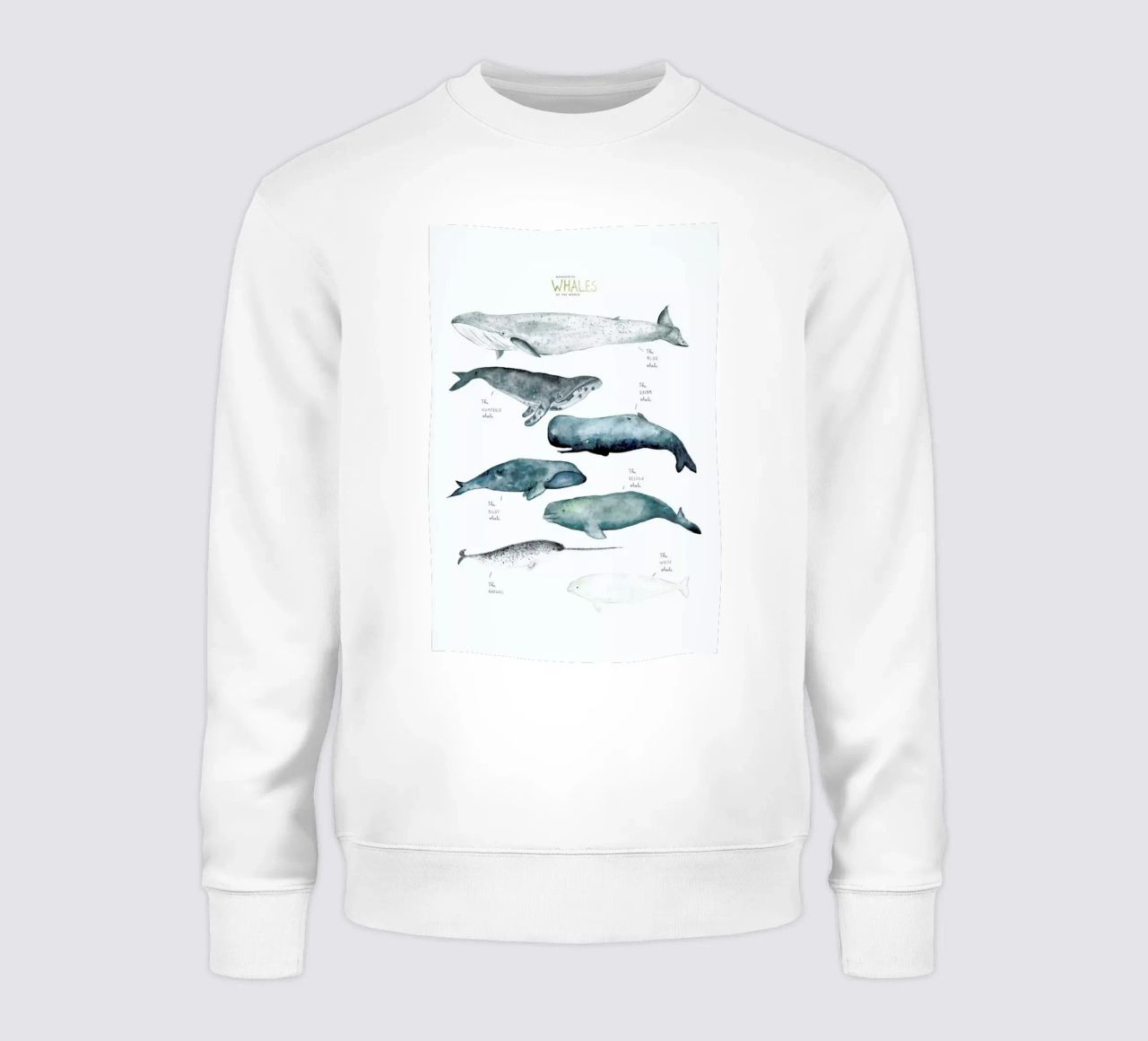 Whale Types felpa da Isabelle Vandeplassche