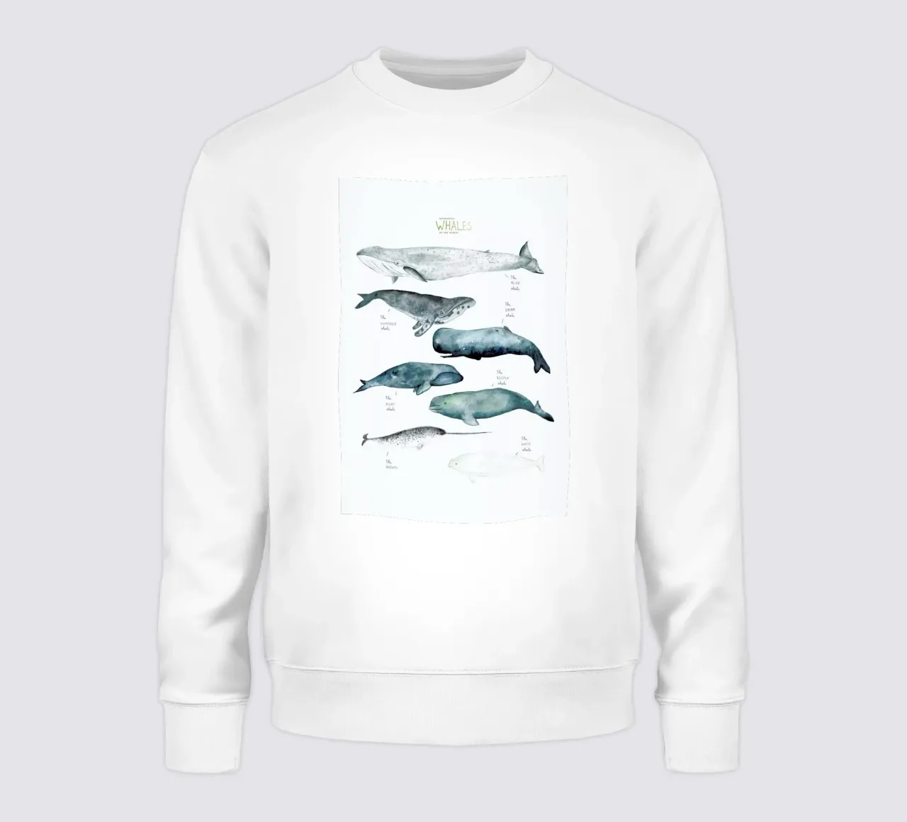 Whale Types felpa da Isabelle Vandeplassche