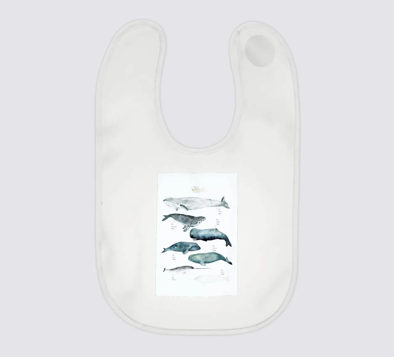 Whale Types bavaglino da Isabelle Vandeplassche