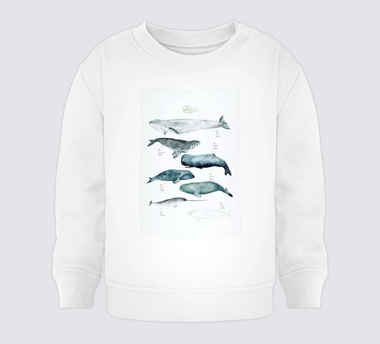 Whale Types felpa neonato da Isabelle Vandeplassche