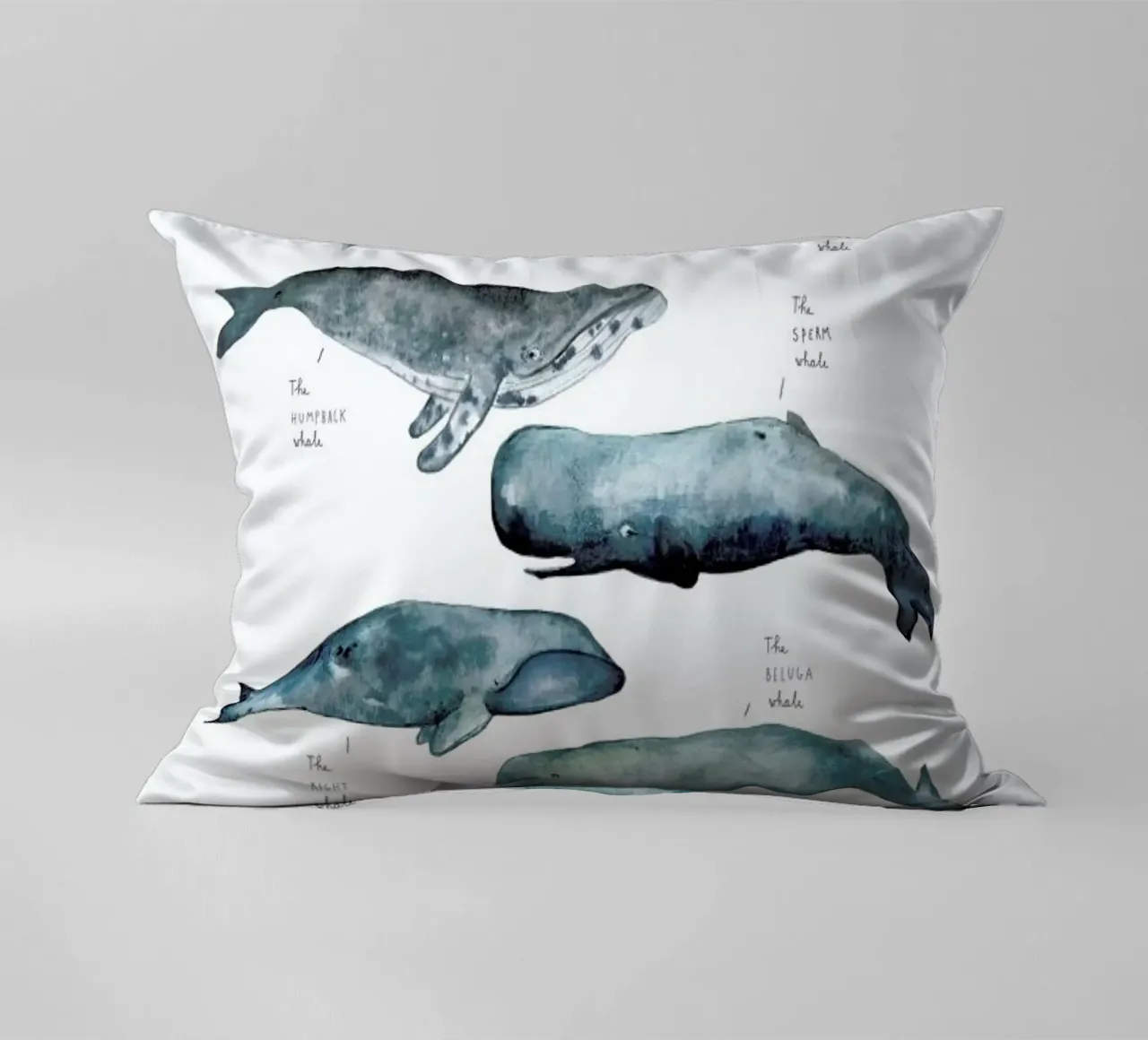 Whale Types cuscino da Isabelle Vandeplassche