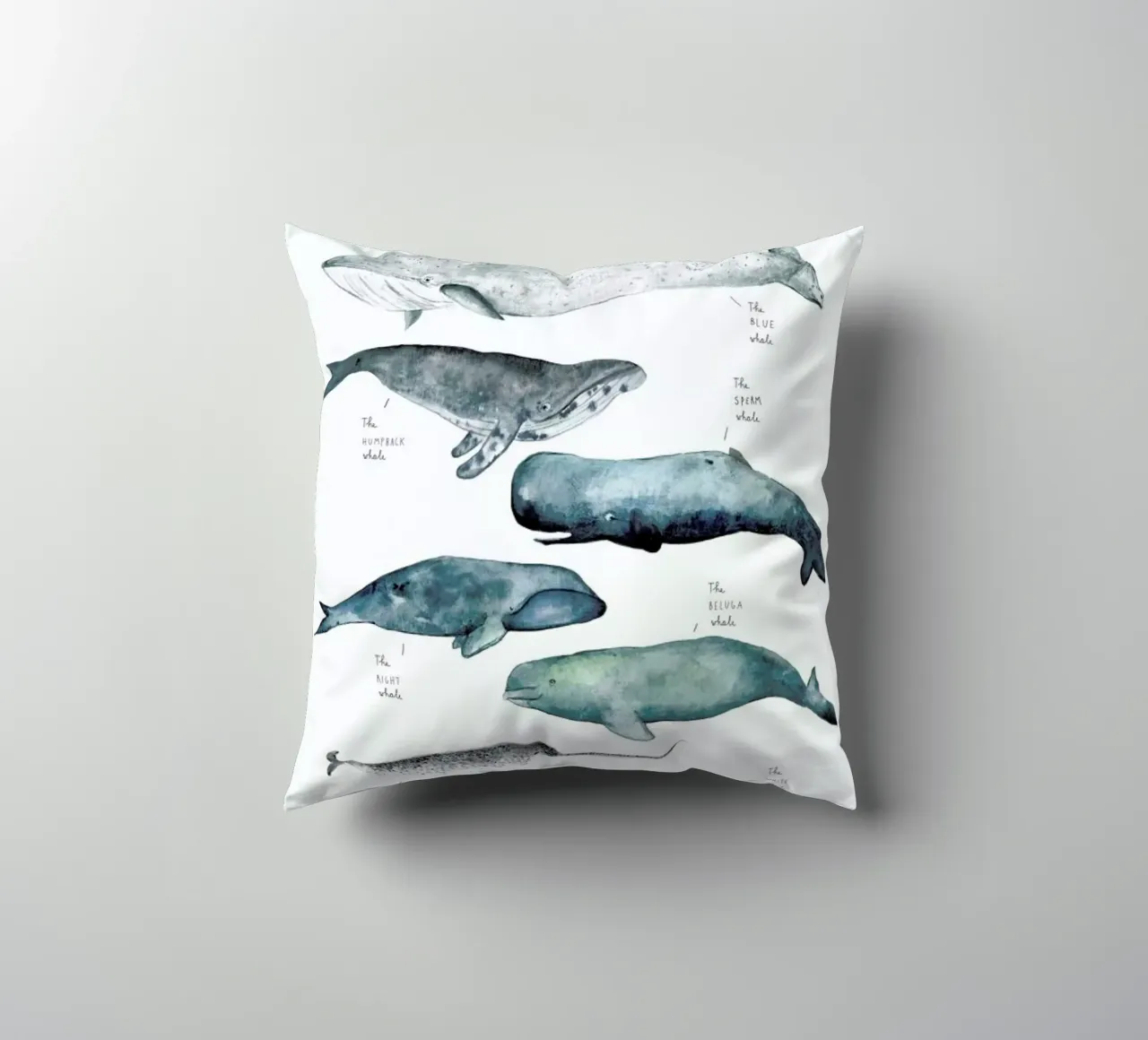 Whale Types cuscino da Isabelle Vandeplassche
