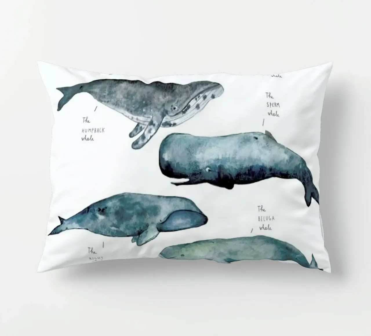 Whale Types cuscino da Isabelle Vandeplassche