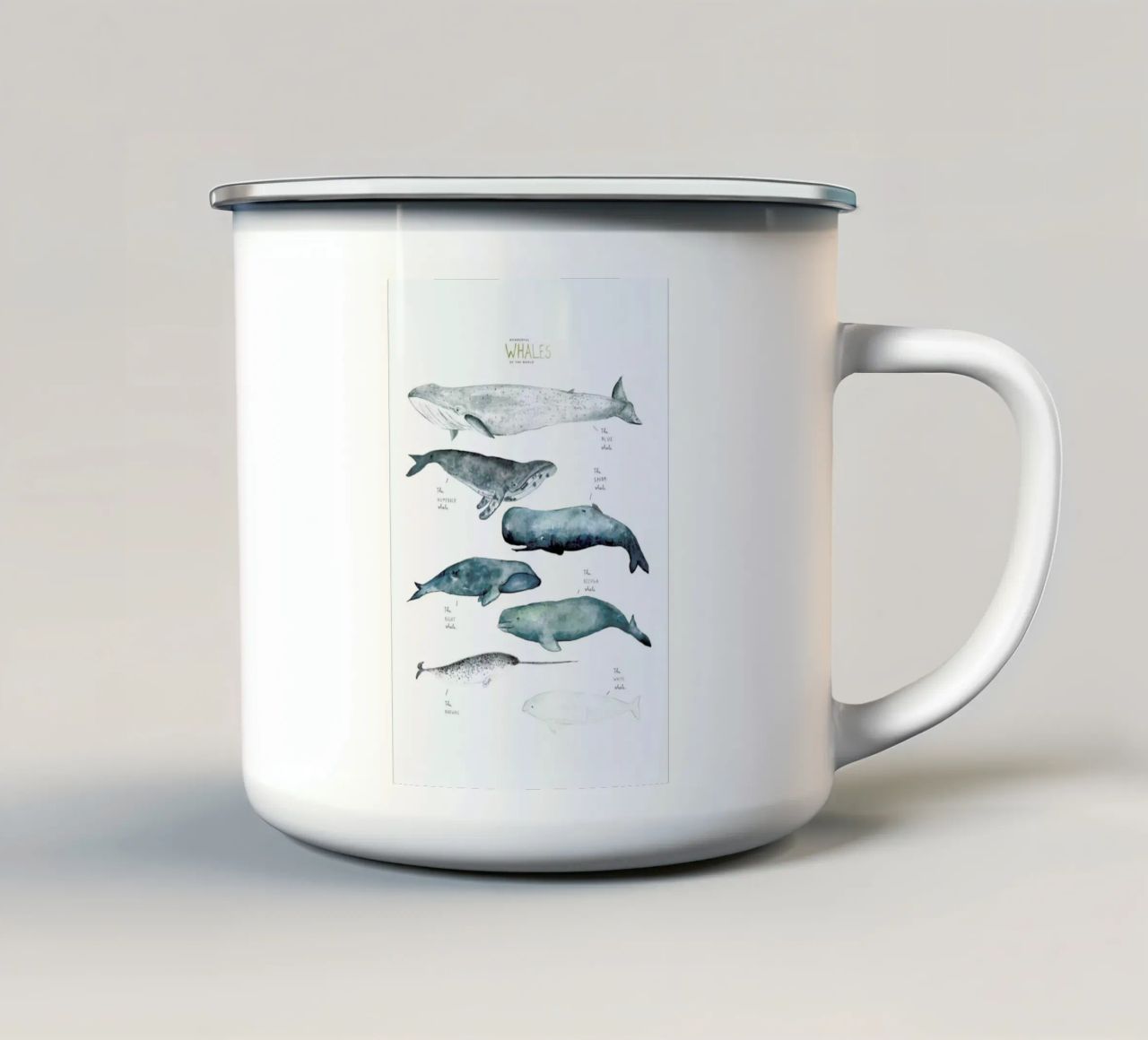 Whale Types tazza in smalto da Isabelle Vandeplassche