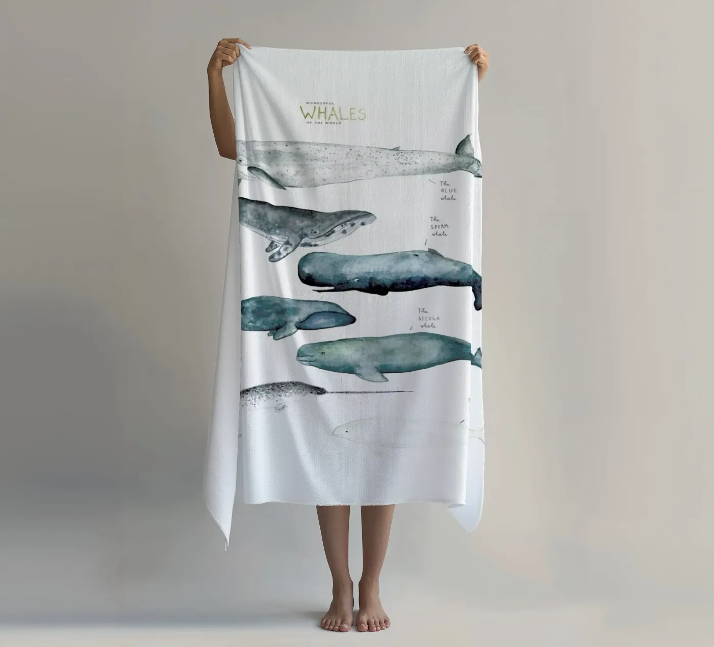 Whale Types telo mare da Isabelle Vandeplassche