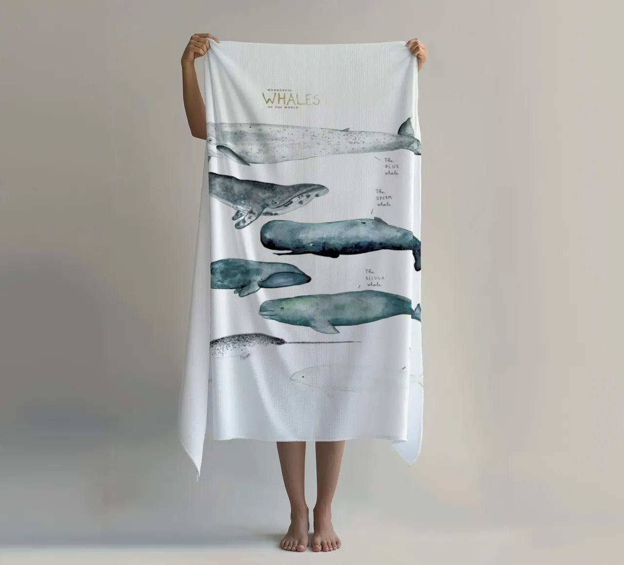 Whale Types telo mare da Isabelle Vandeplassche