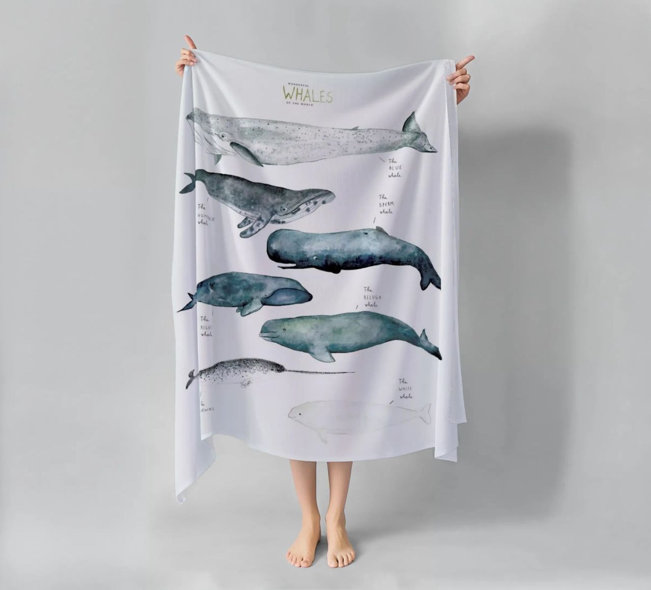 Whale Types telo mare da Isabelle Vandeplassche