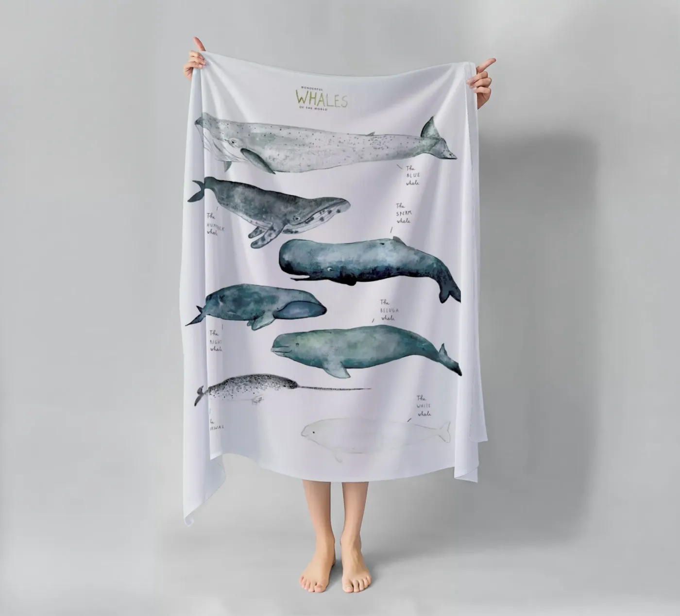 Whale Types telo mare da Isabelle Vandeplassche