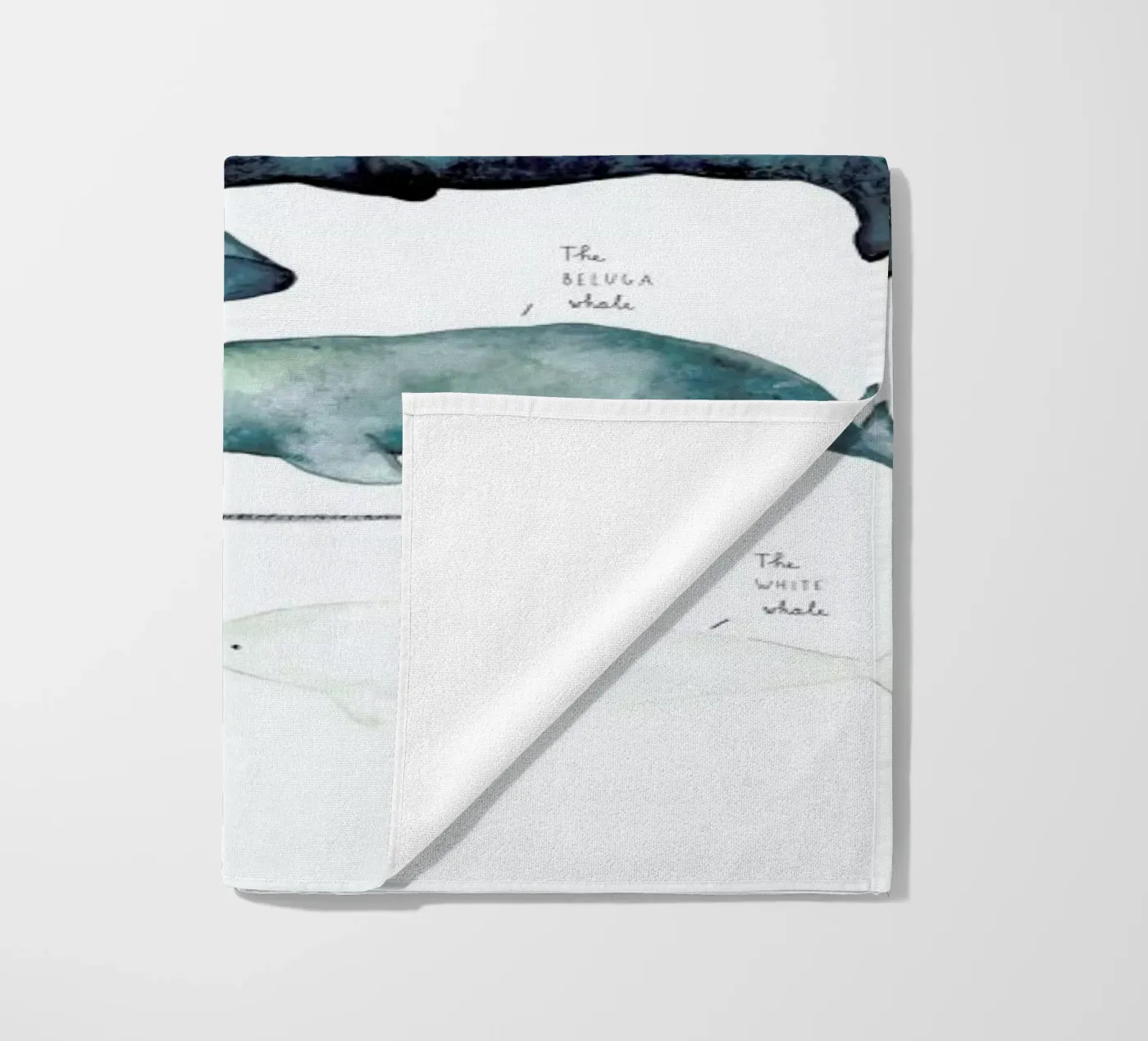 Whale Types telo mare da Isabelle Vandeplassche