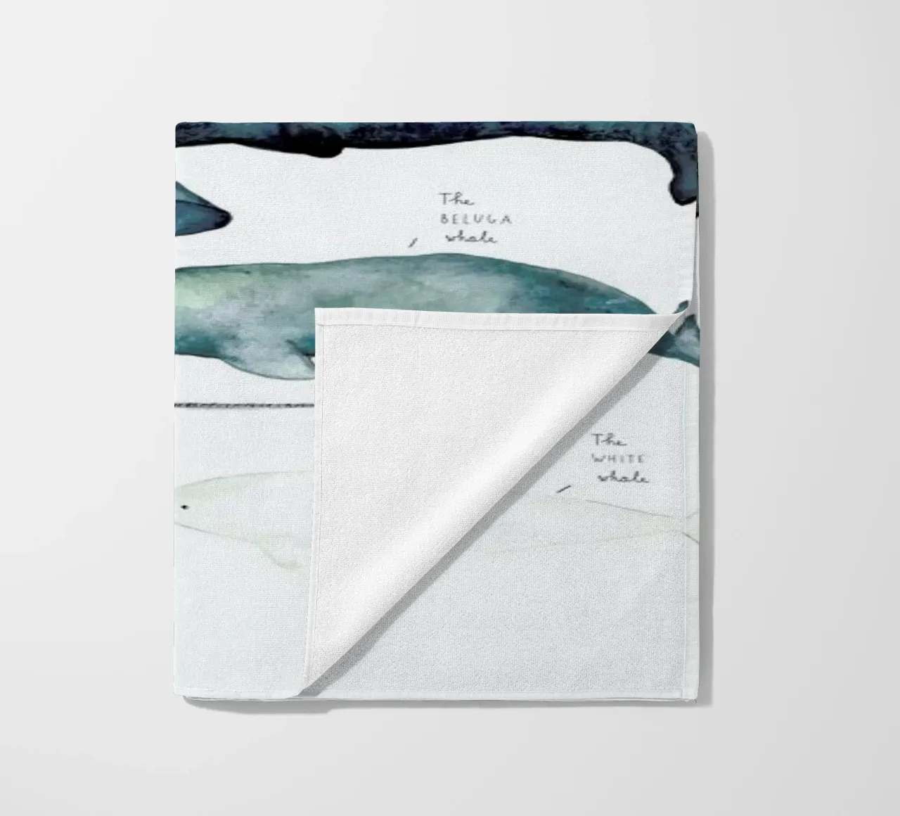 Whale Types telo mare da Isabelle Vandeplassche