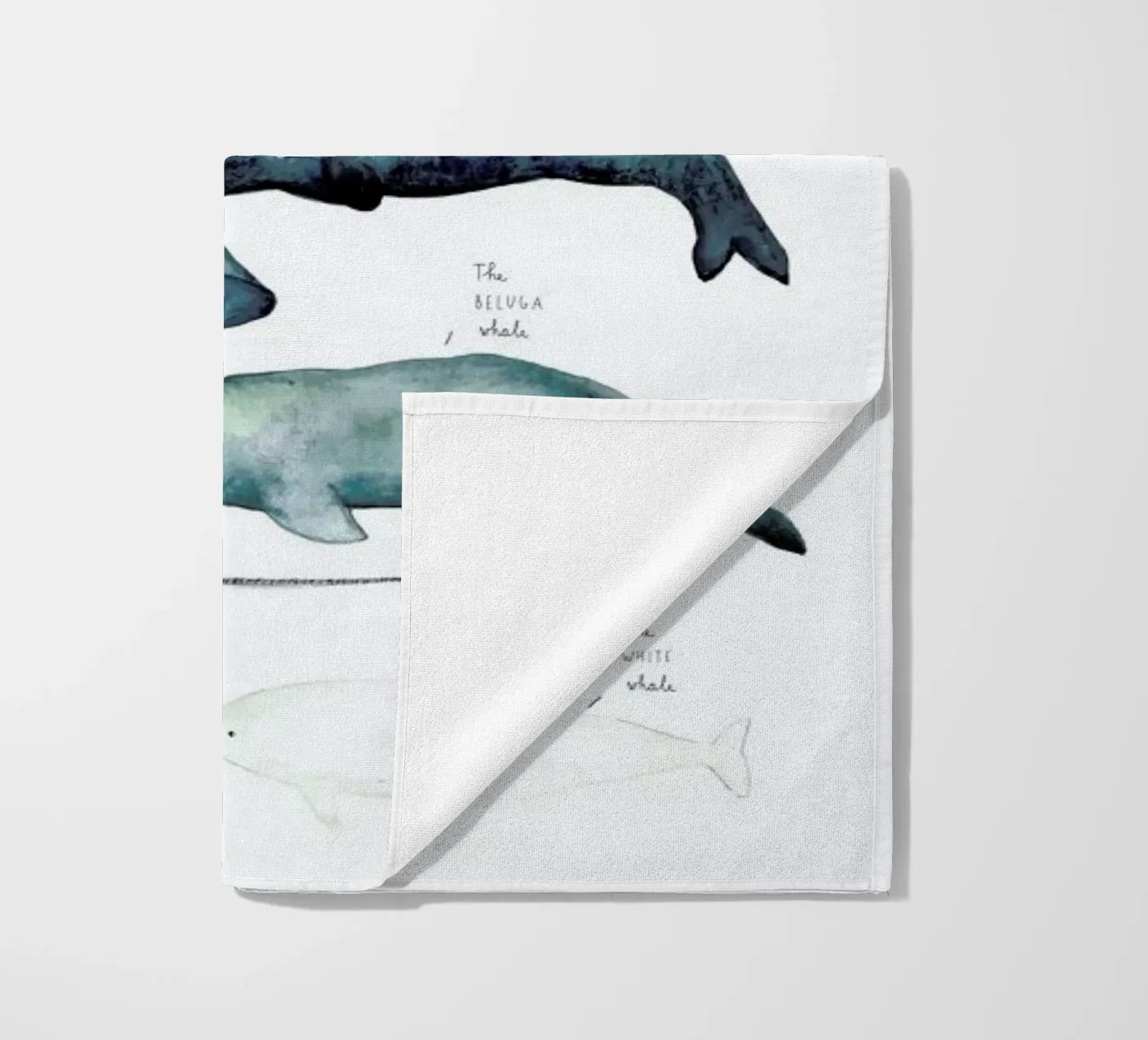 Whale Types telo mare da Isabelle Vandeplassche