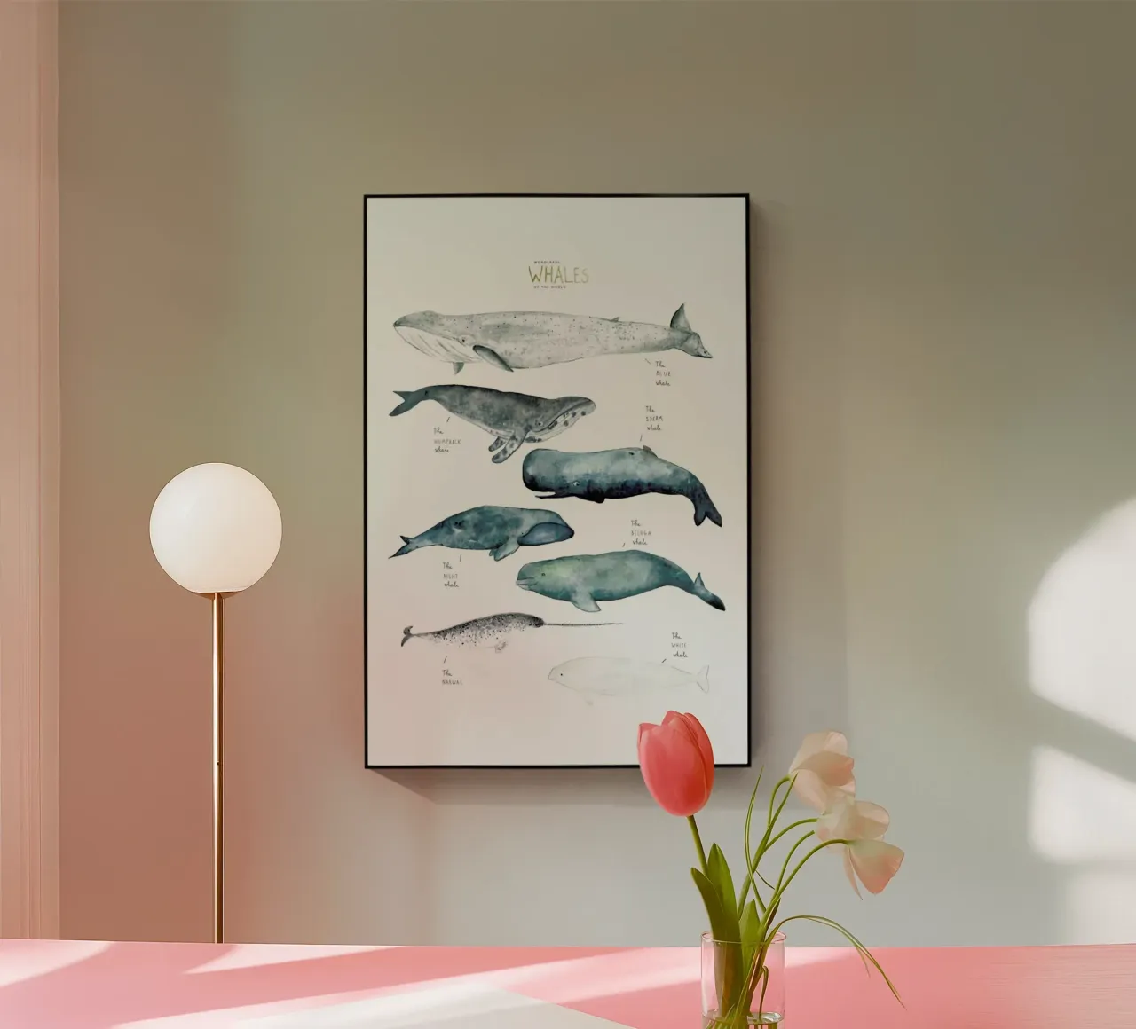 Whale Types plexiglass da Isabelle Vandeplassche