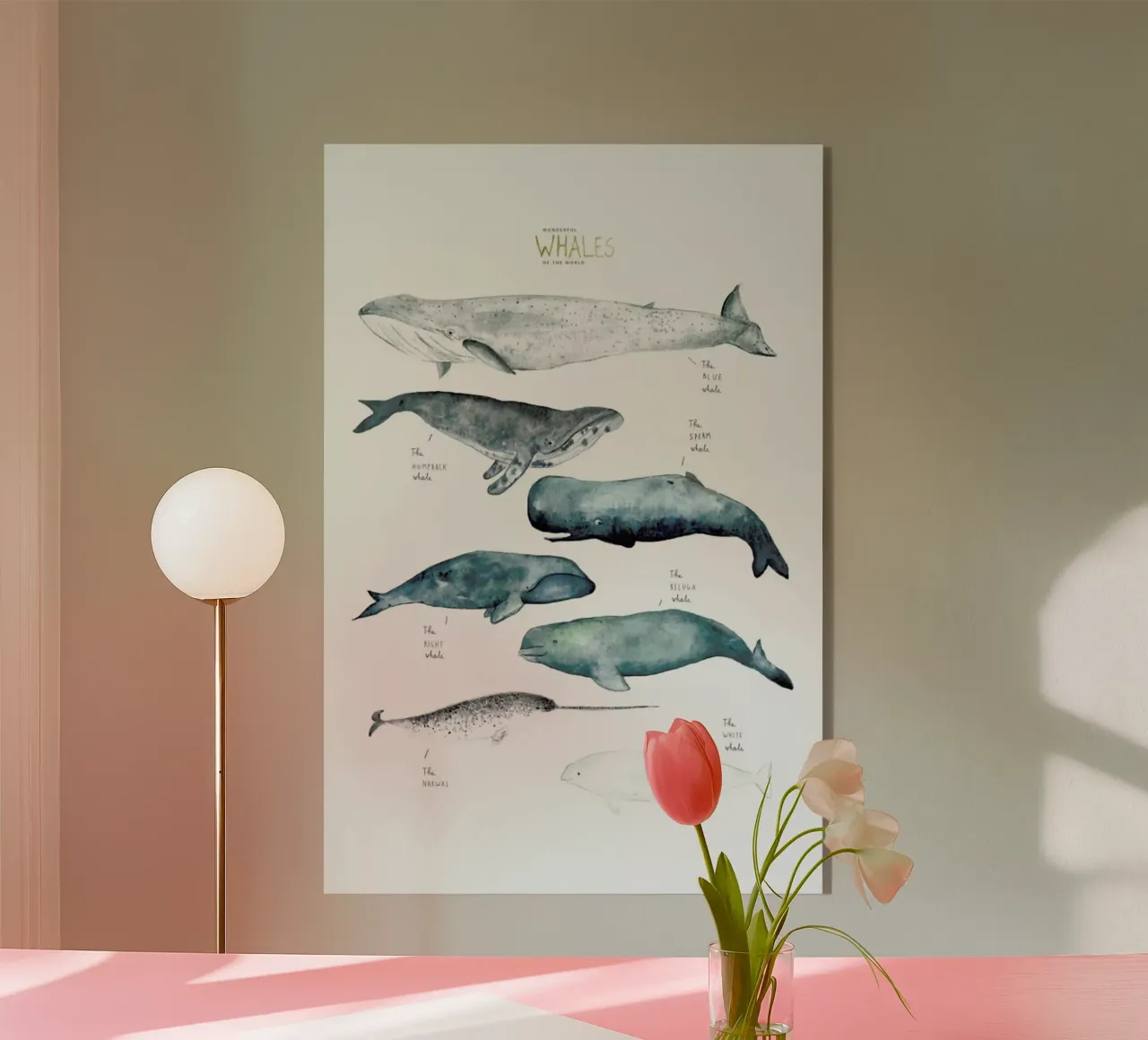 Whale Types plexiglass da Isabelle Vandeplassche