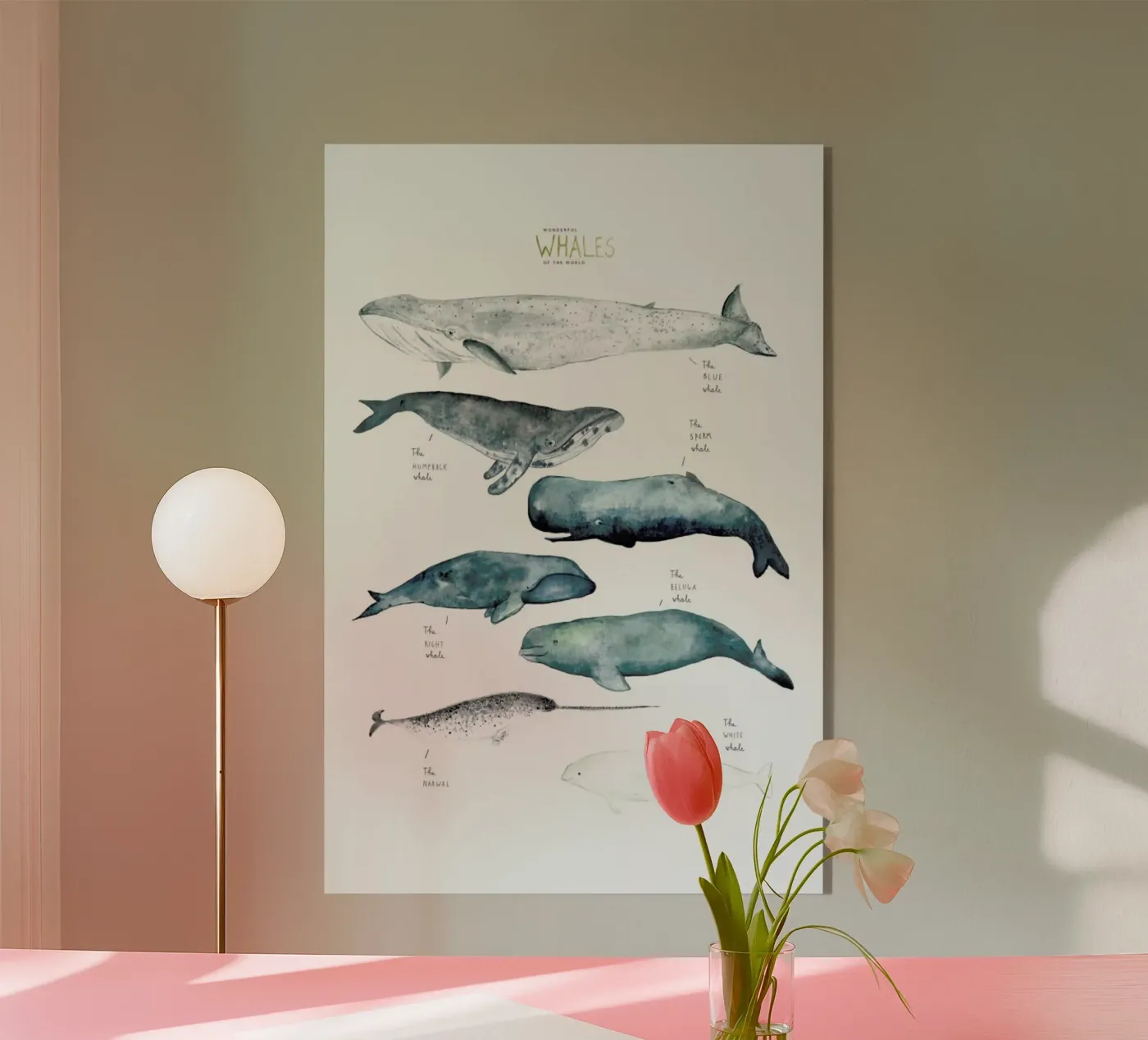 Whale Types plexiglass da Isabelle Vandeplassche