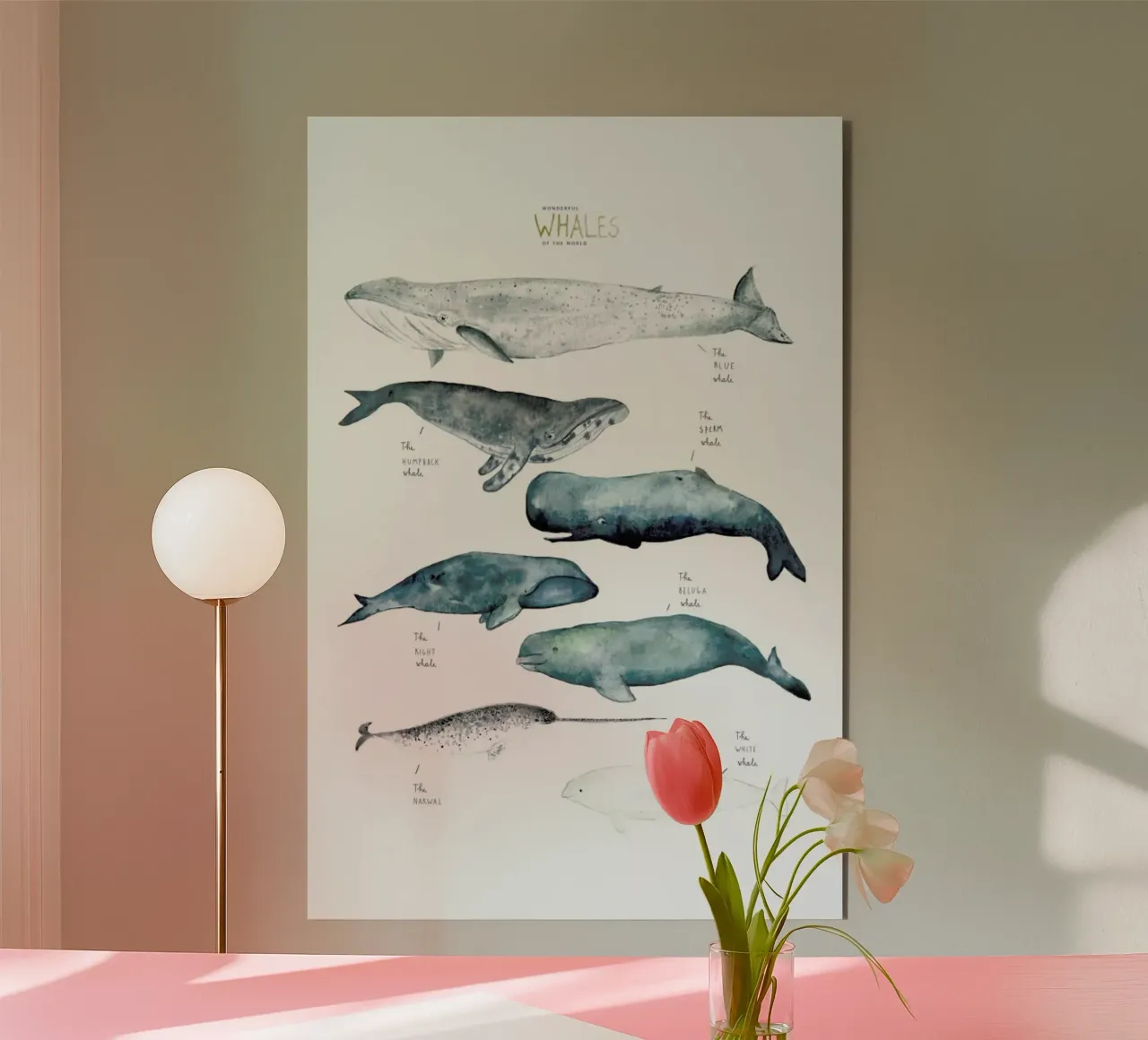 Whale Types alluminio dibond da Isabelle Vandeplassche