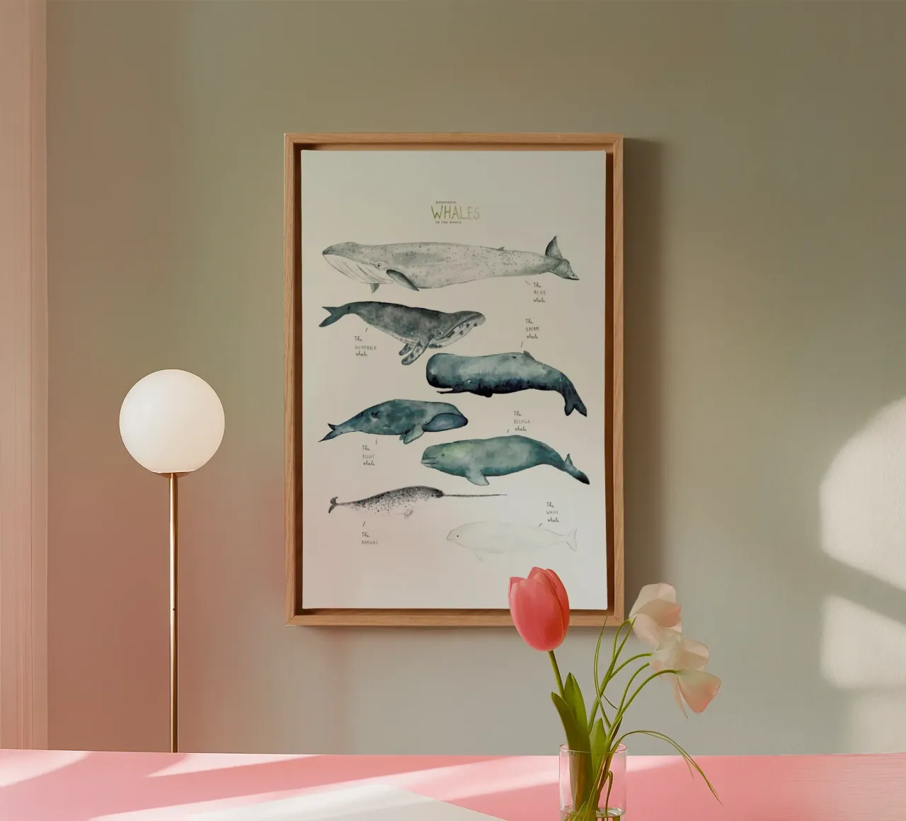 Whale Types tela con Cornice a cassetta da Isabelle Vandeplassche