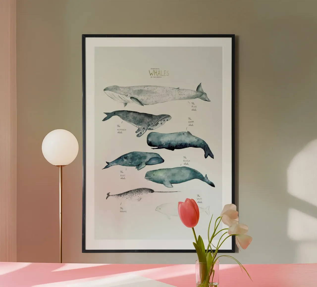 Whale Types poster by Isabelle Vandeplassche