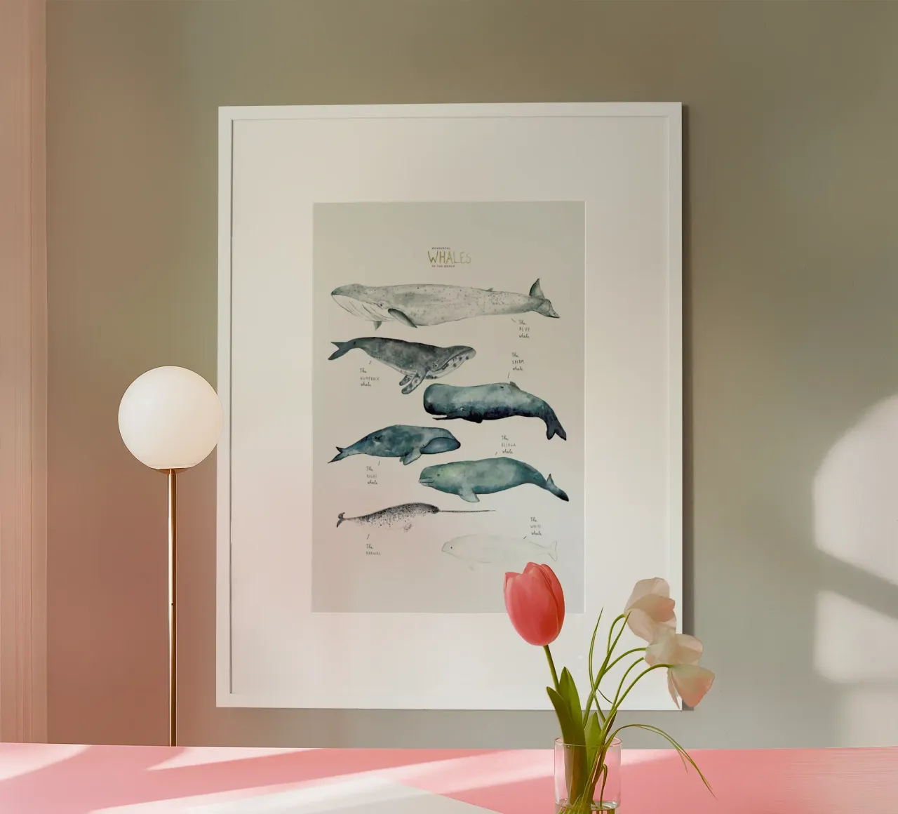 Whale Types poster by Isabelle Vandeplassche